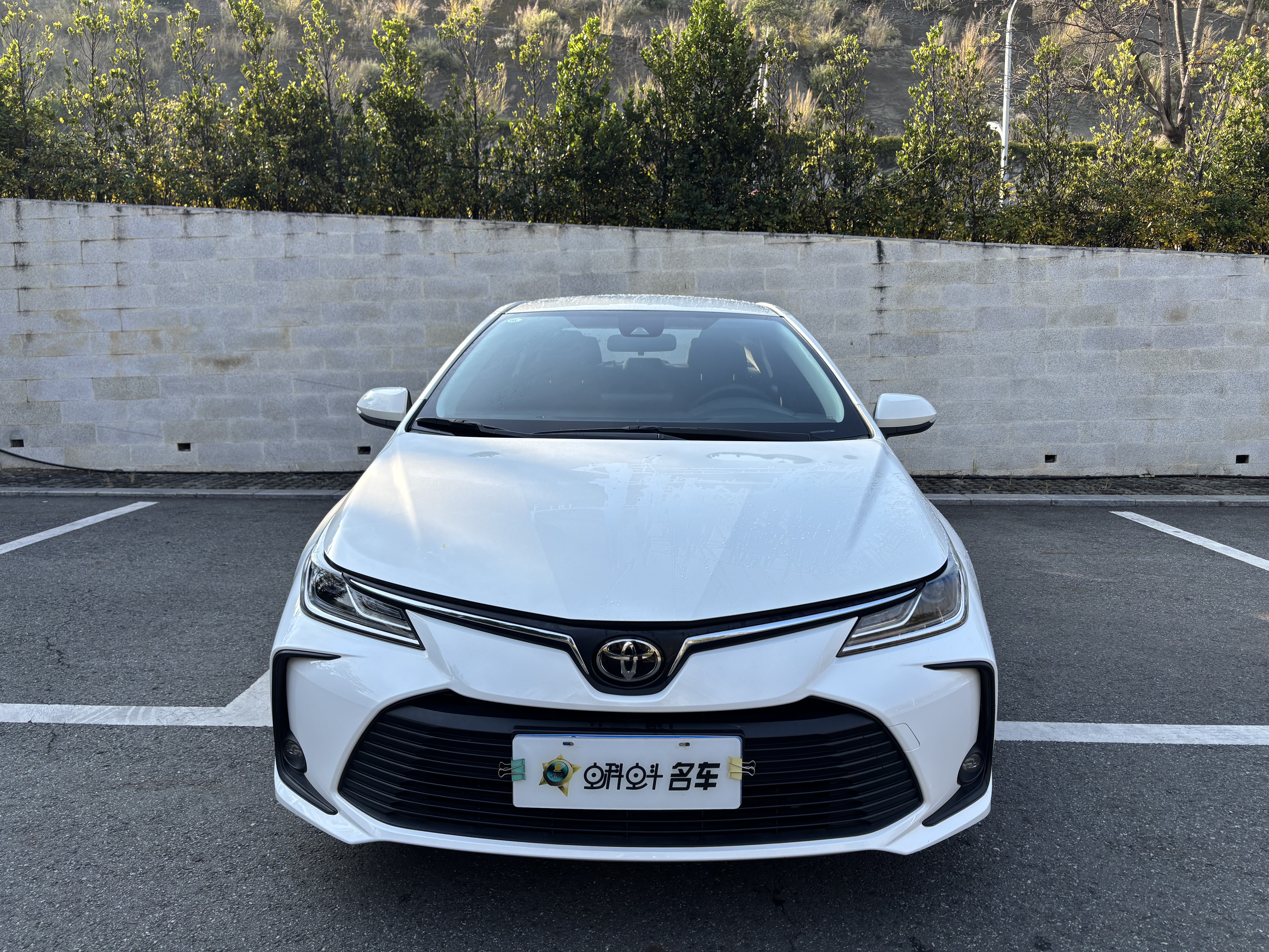 Corolla 2023 #2 Corolla 2023 car image #2