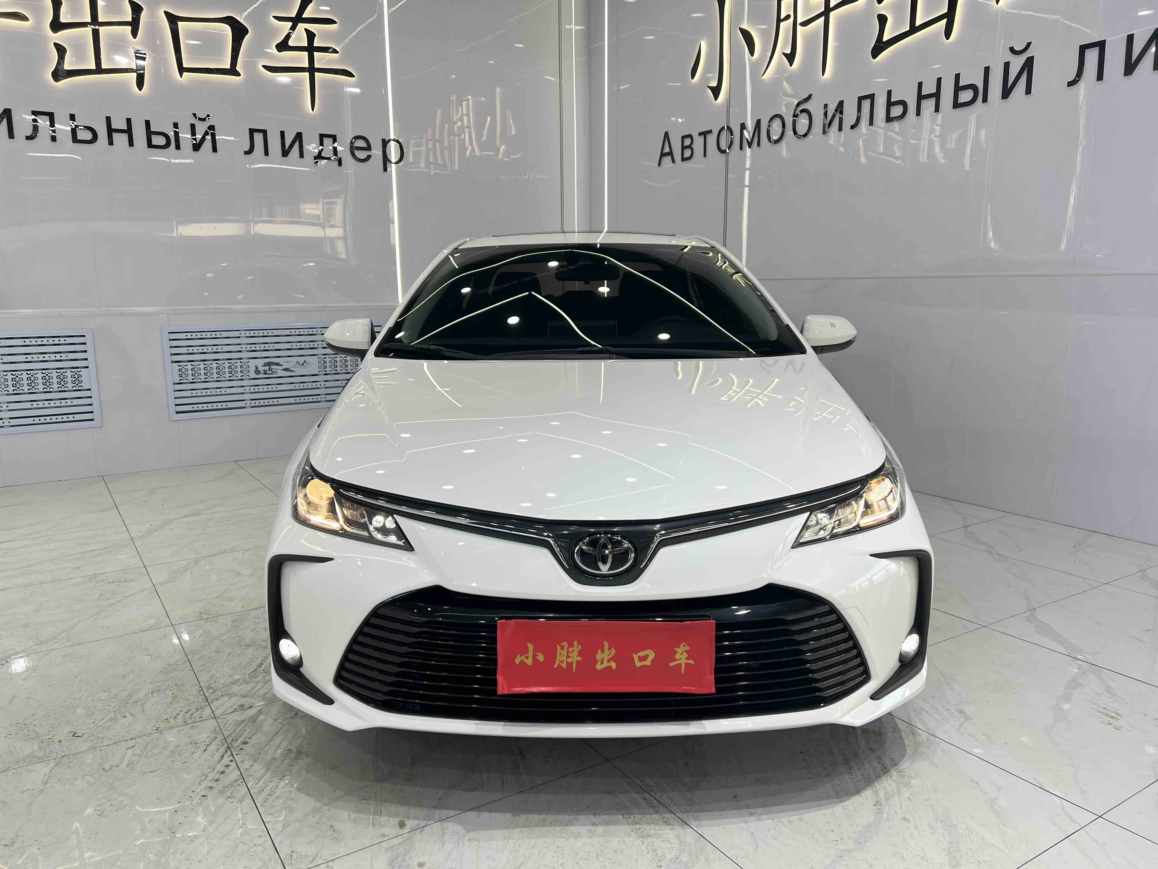 Corolla 2022 car image #2