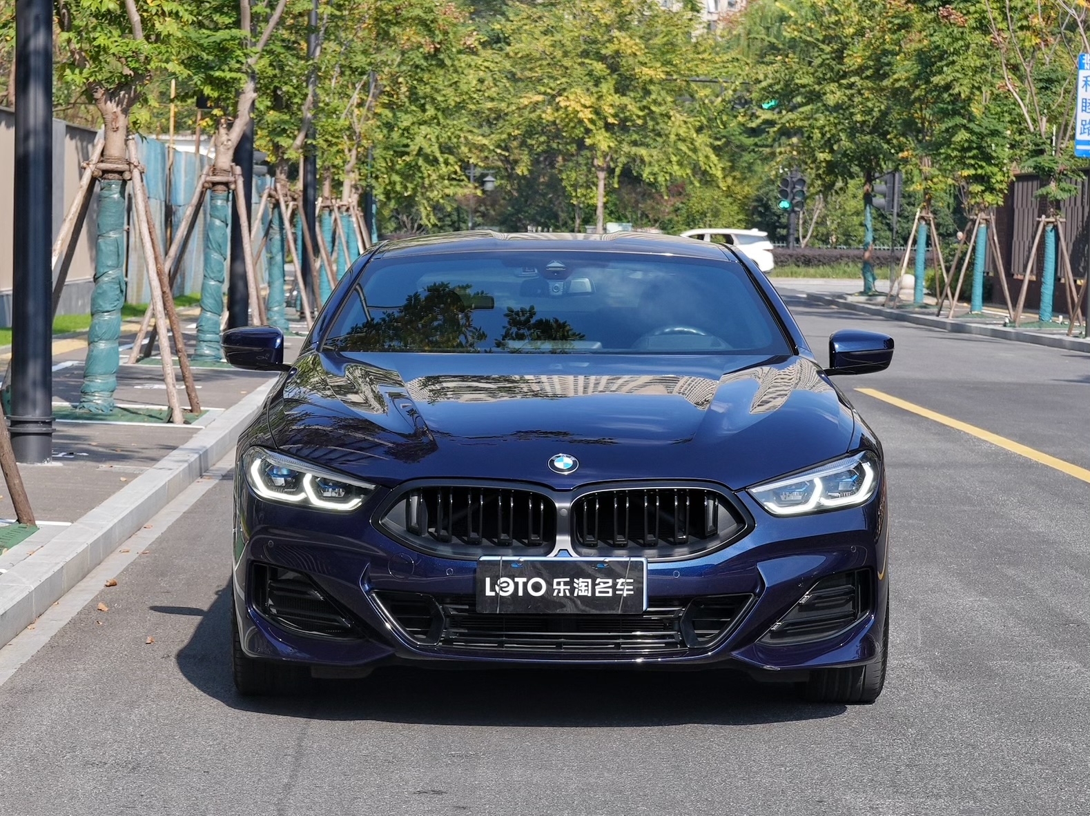 BMW 8 Series 2022 #2 BMW 8 Series 2022 car image #2