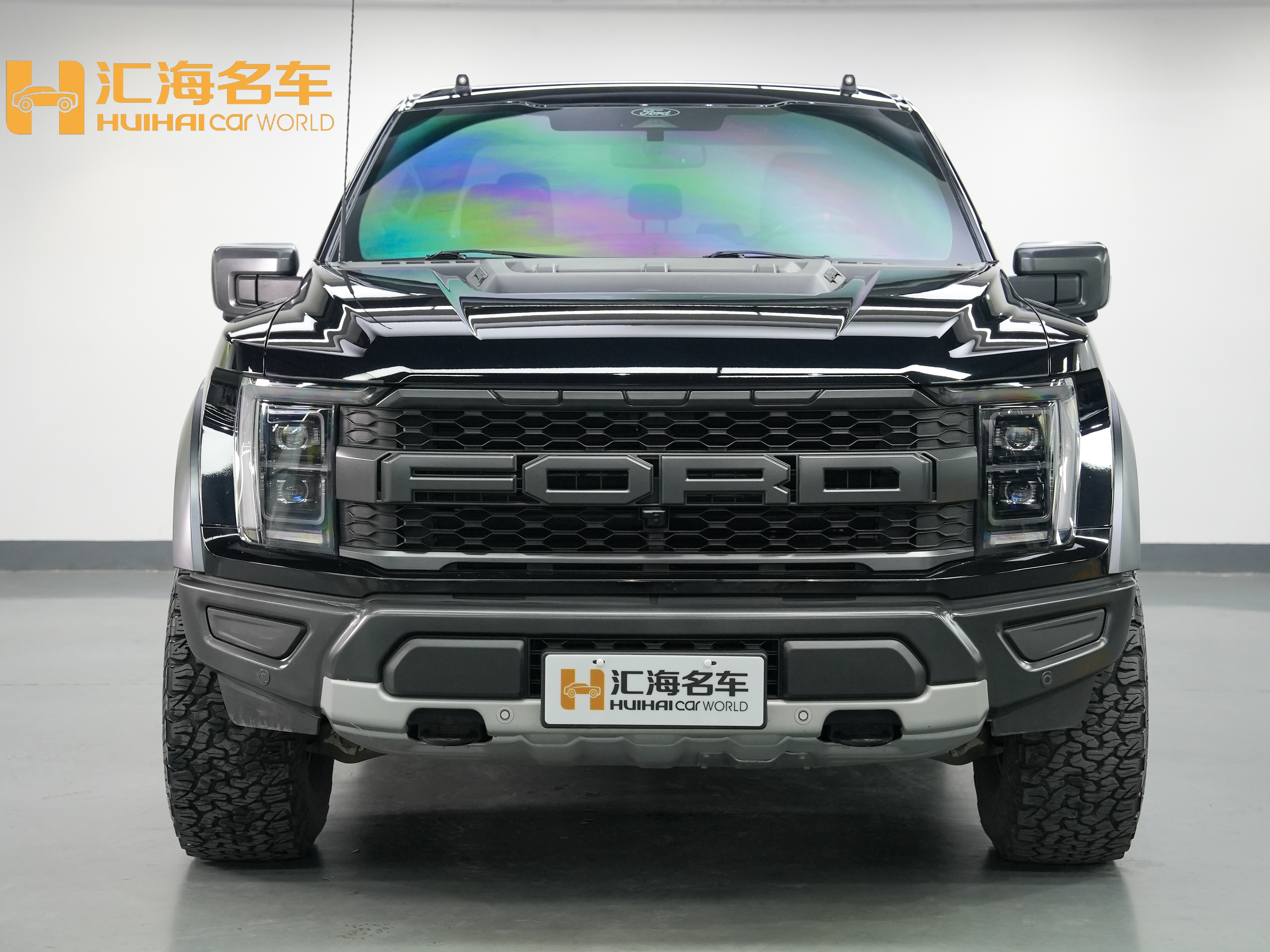 Ford F-150 Raptor 2024 car image #2