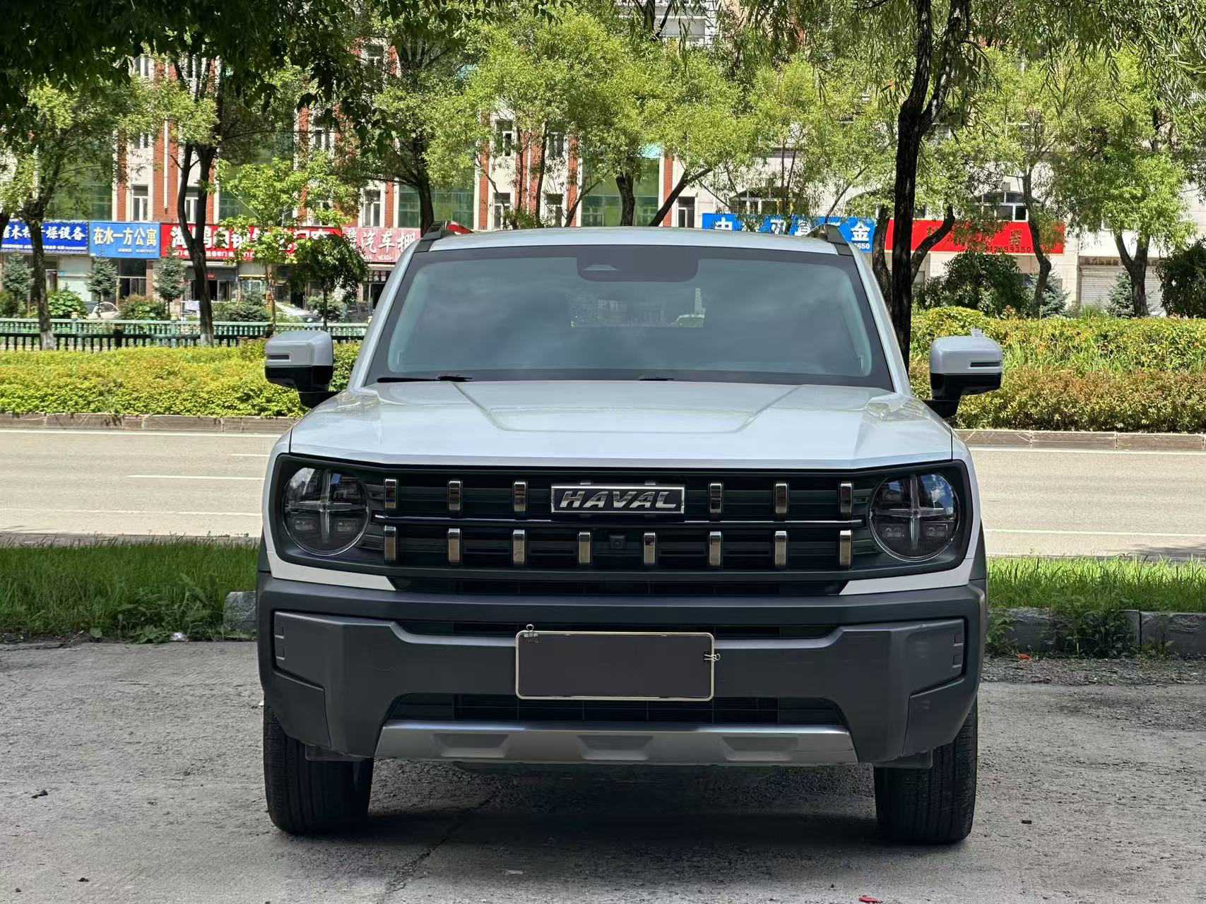 Haval Dargo 2023 immagine di auto #2