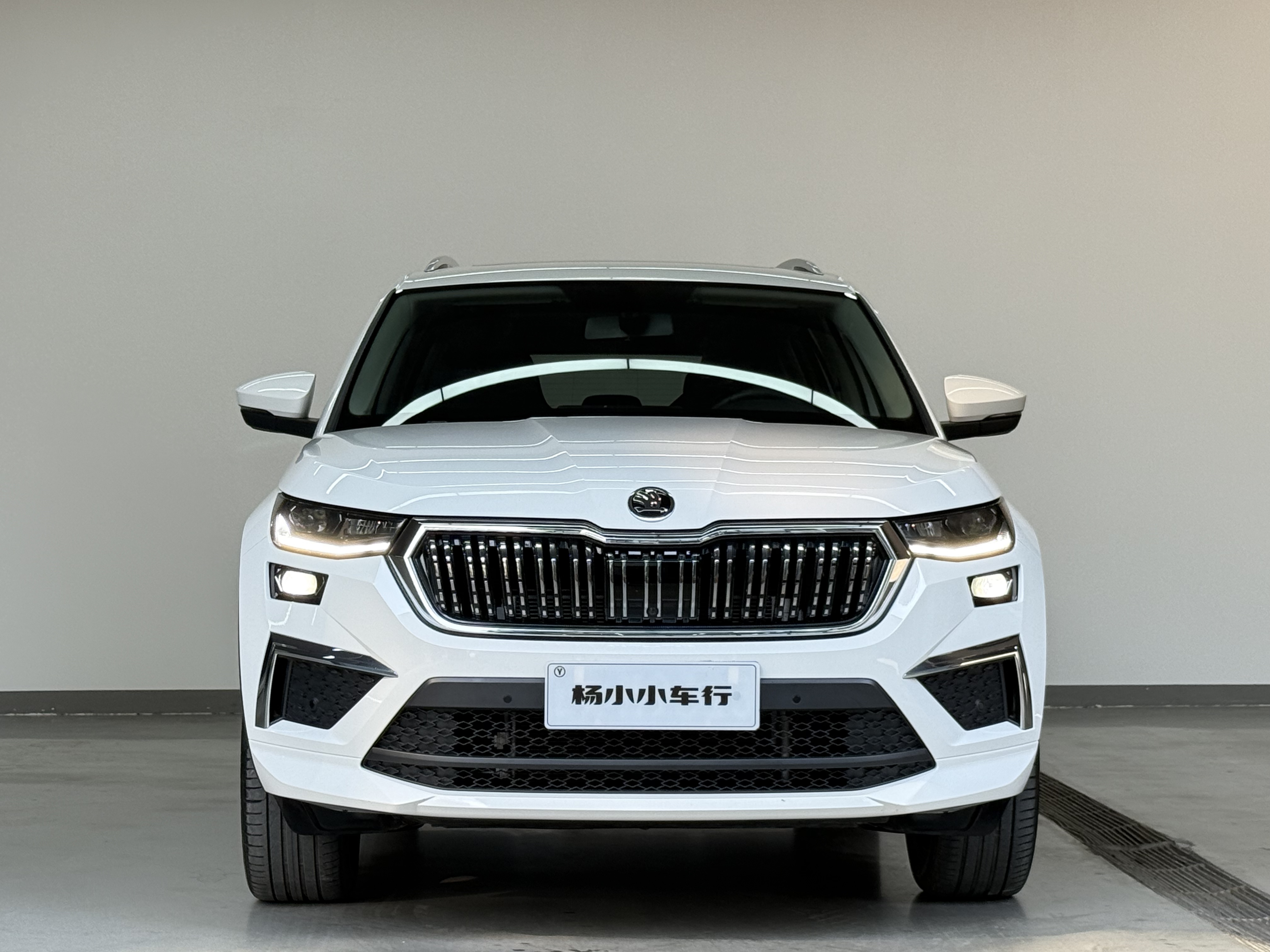 Skoda Kodiaq 2022 car image #2