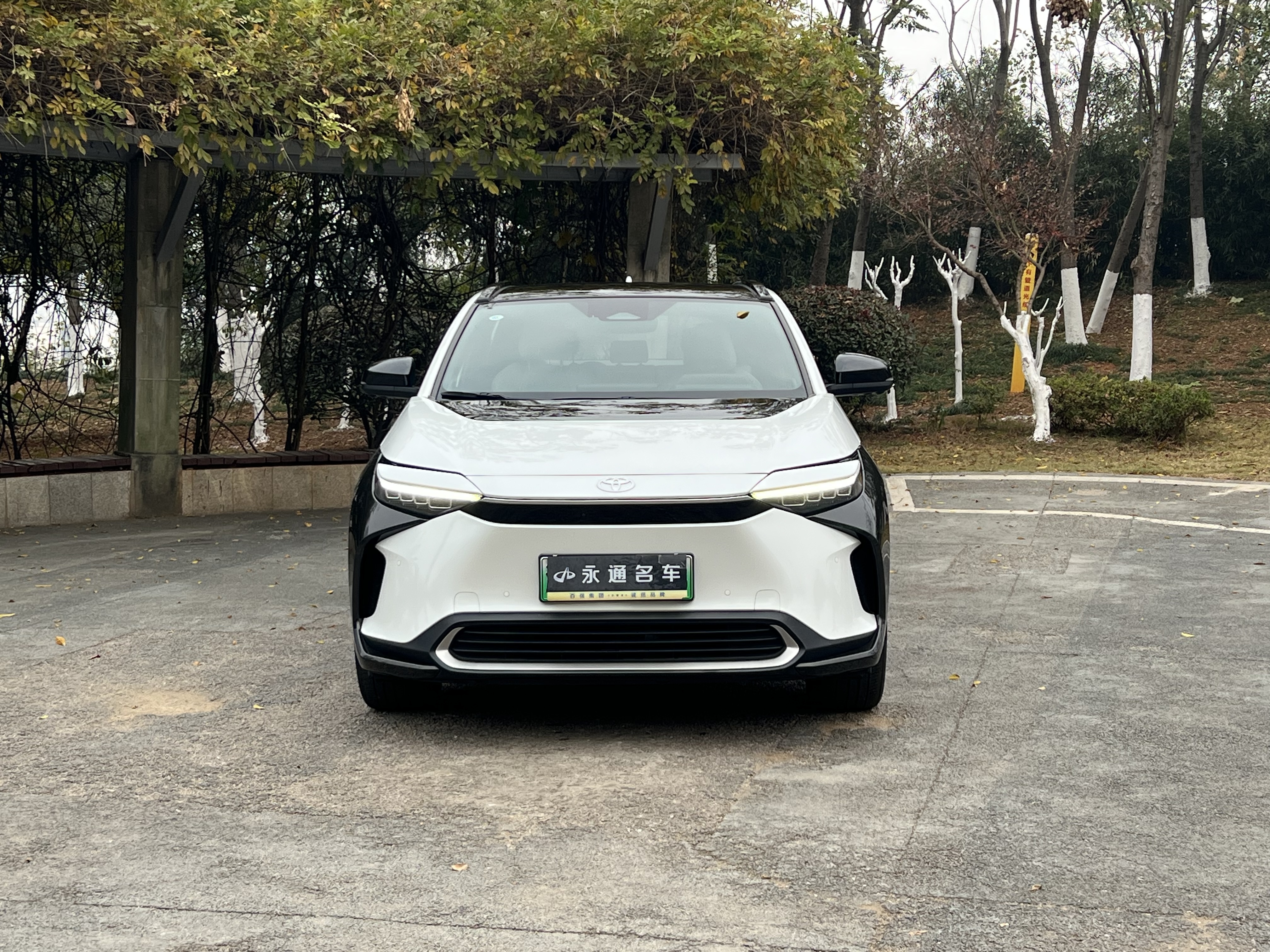 Toyota bZ4X 2022 immagine di auto #2