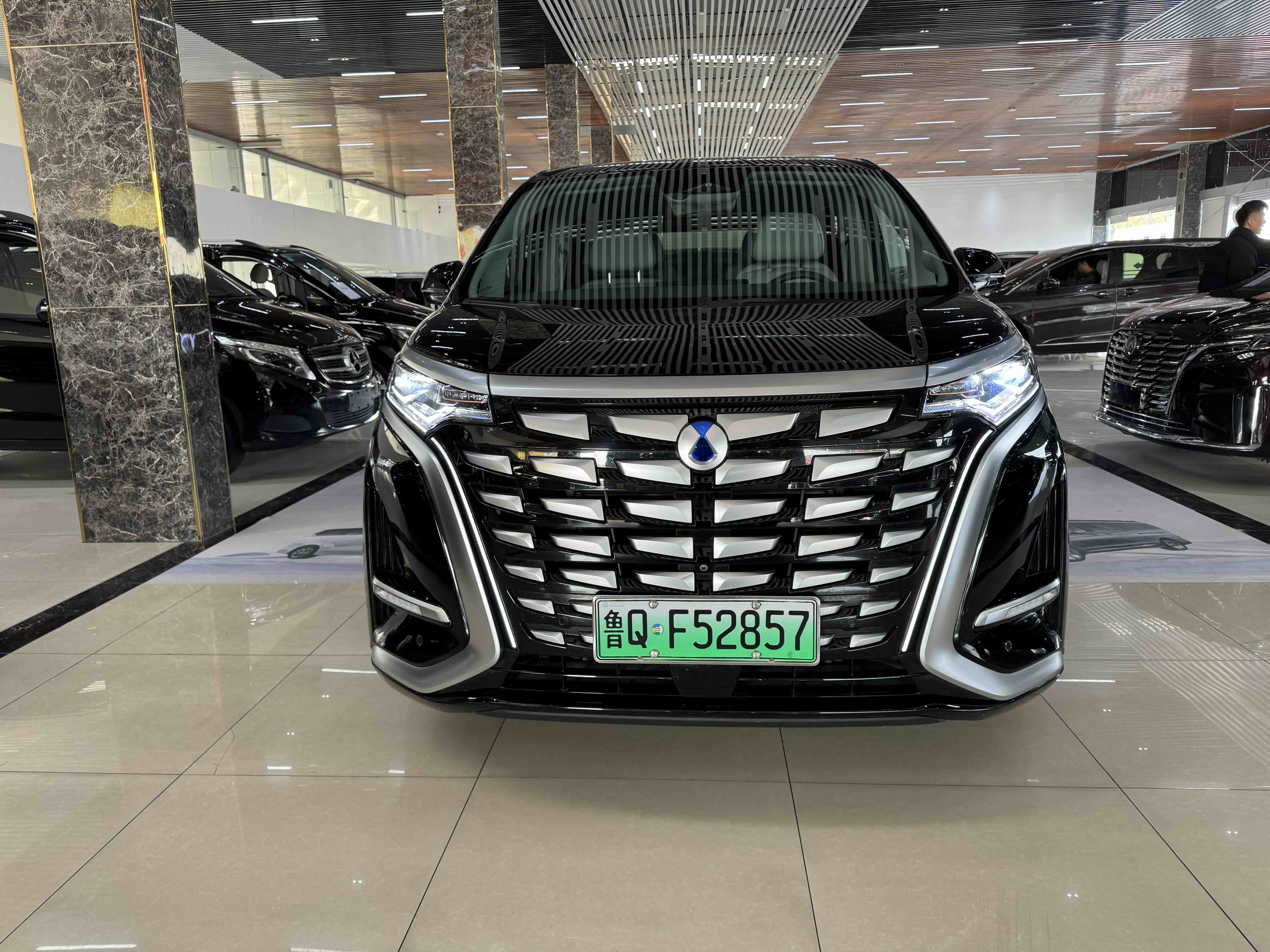 Denza D9 2023 imagem de carro #2