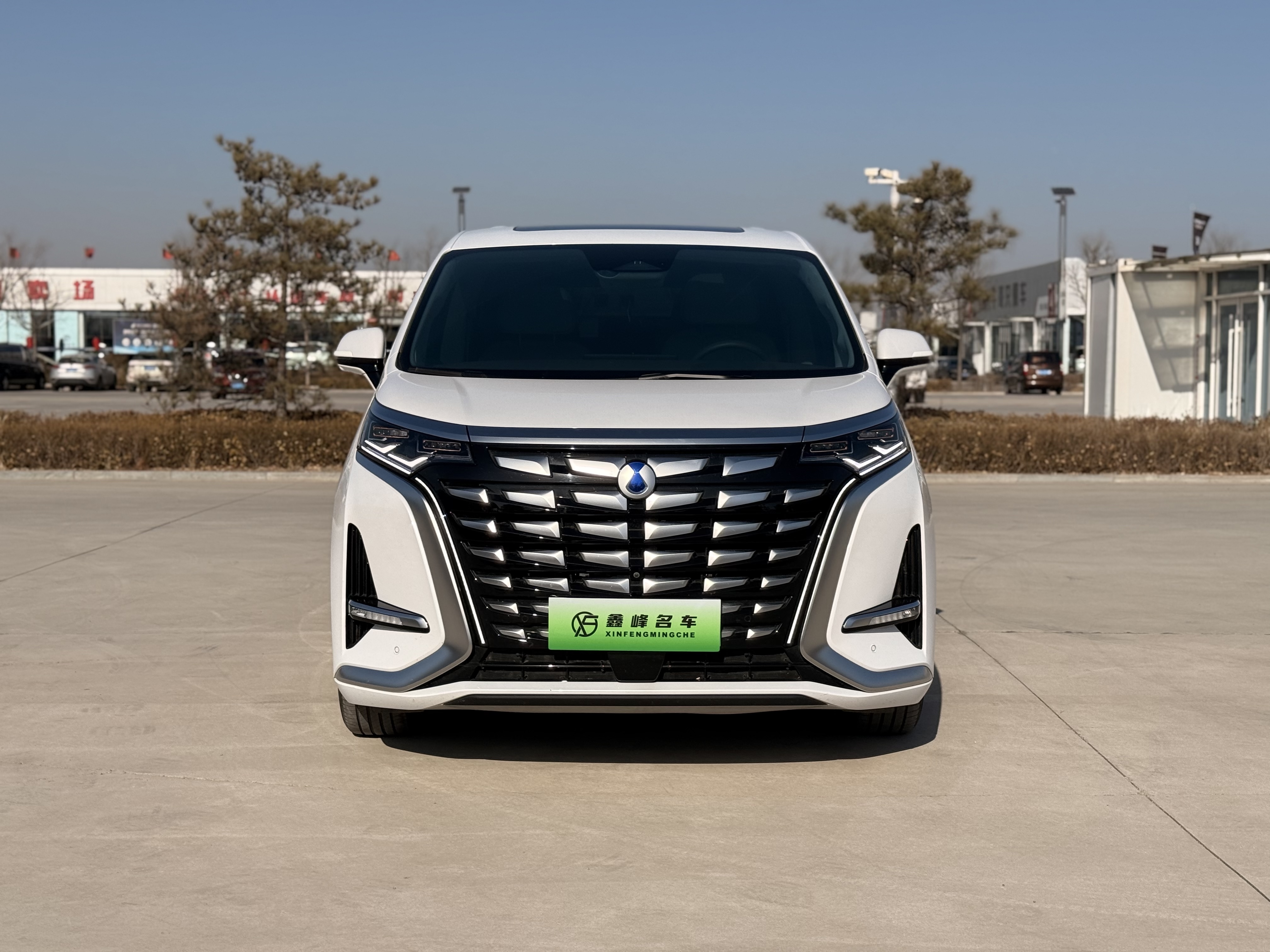 Denza D9 2024 car image #2