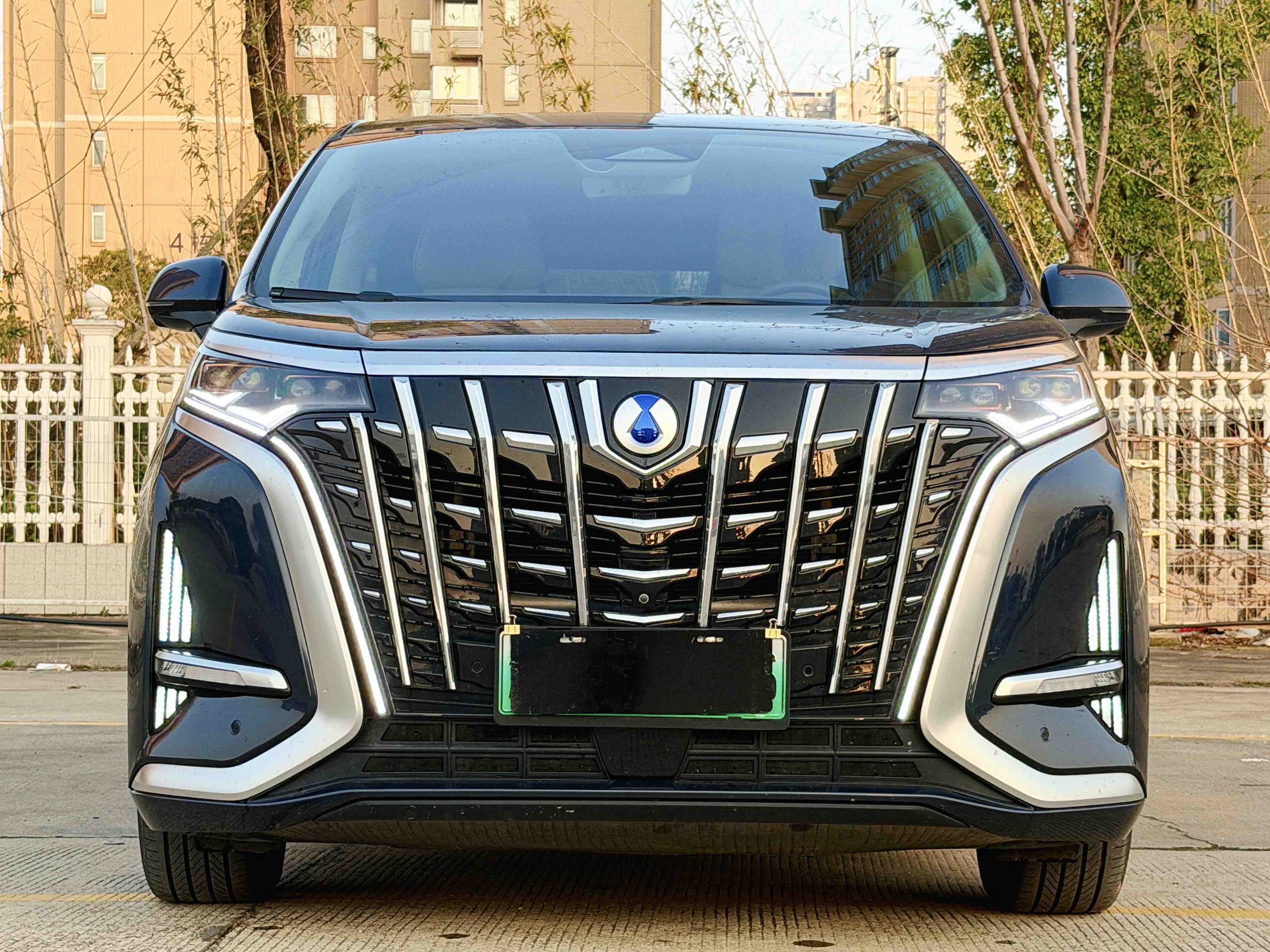 Denza D9 2023 car image #2