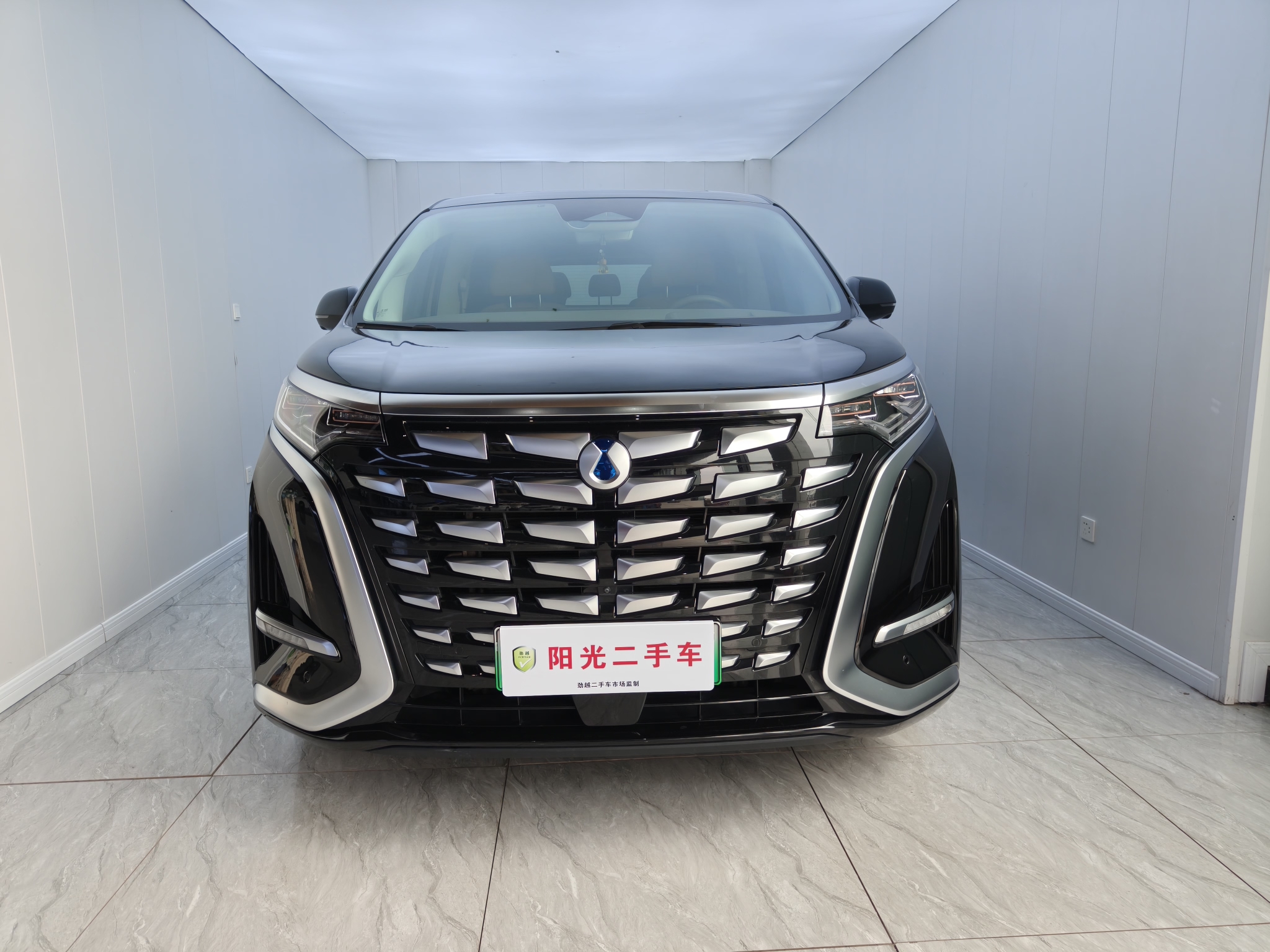 Denza D9 2023 imagen de coche #2