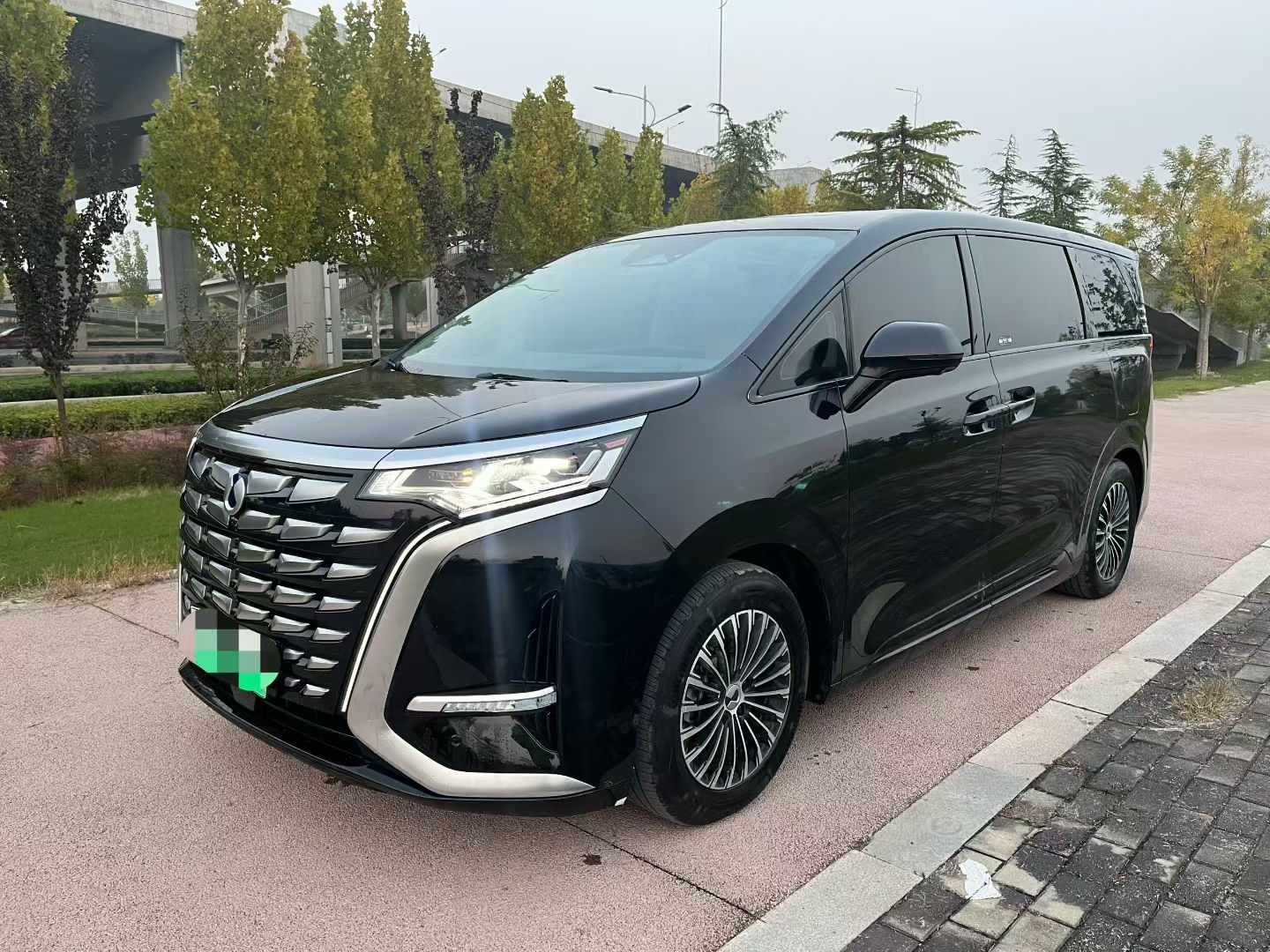 Denza D9 2023 car image #2