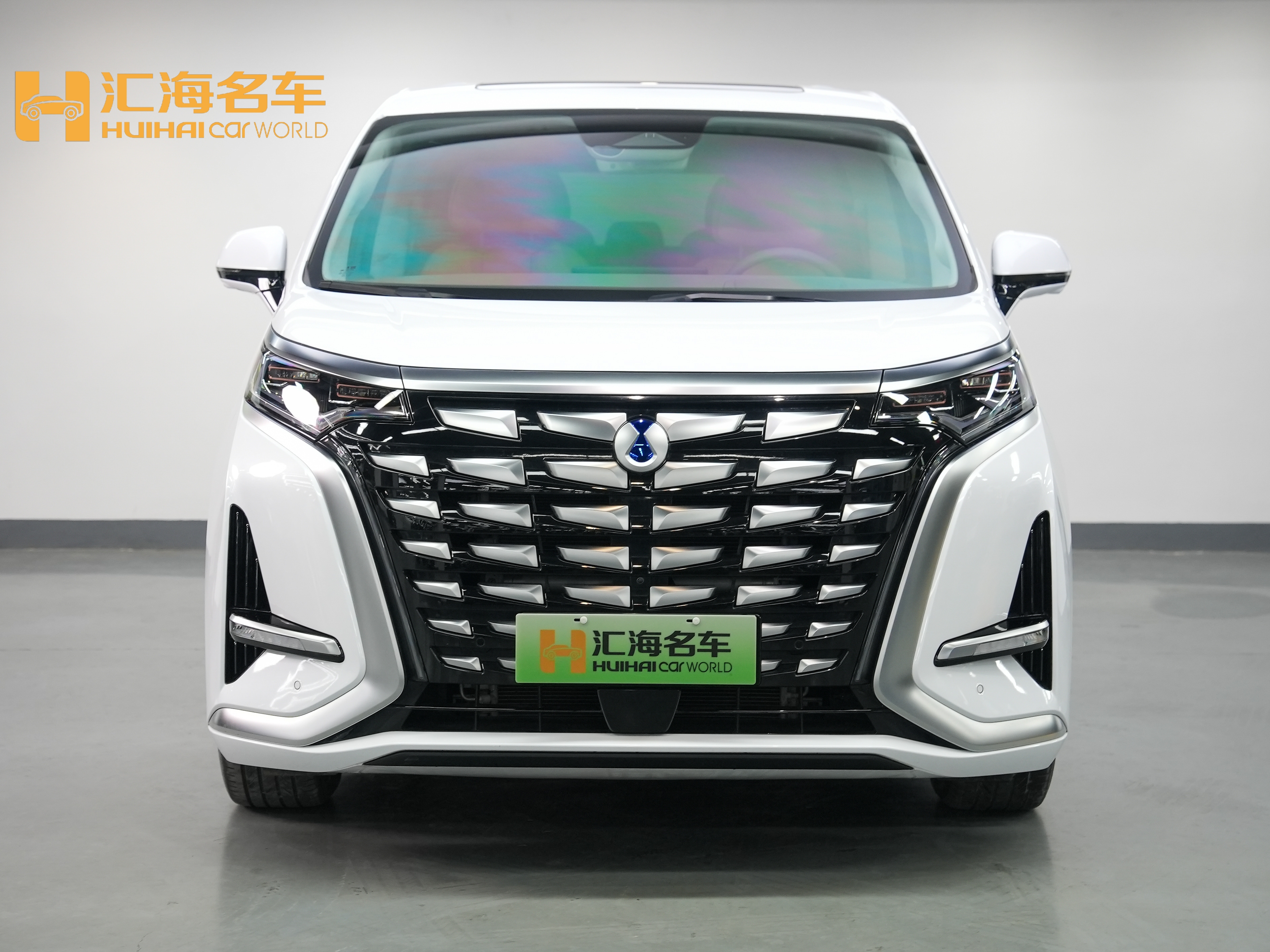 Denza D9 2023 imagen de coche #2