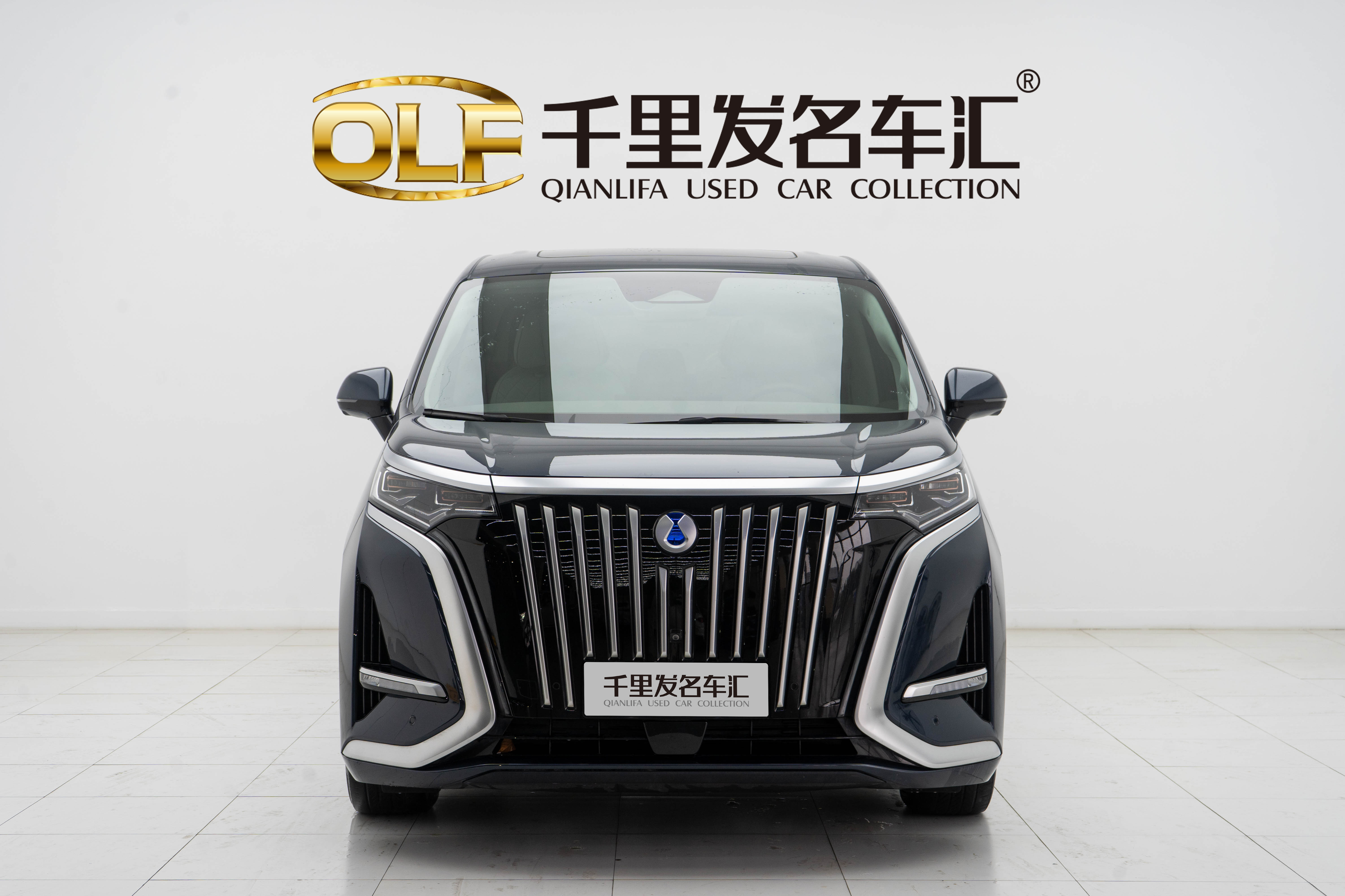 Denza D9 2023 immagine di auto #2