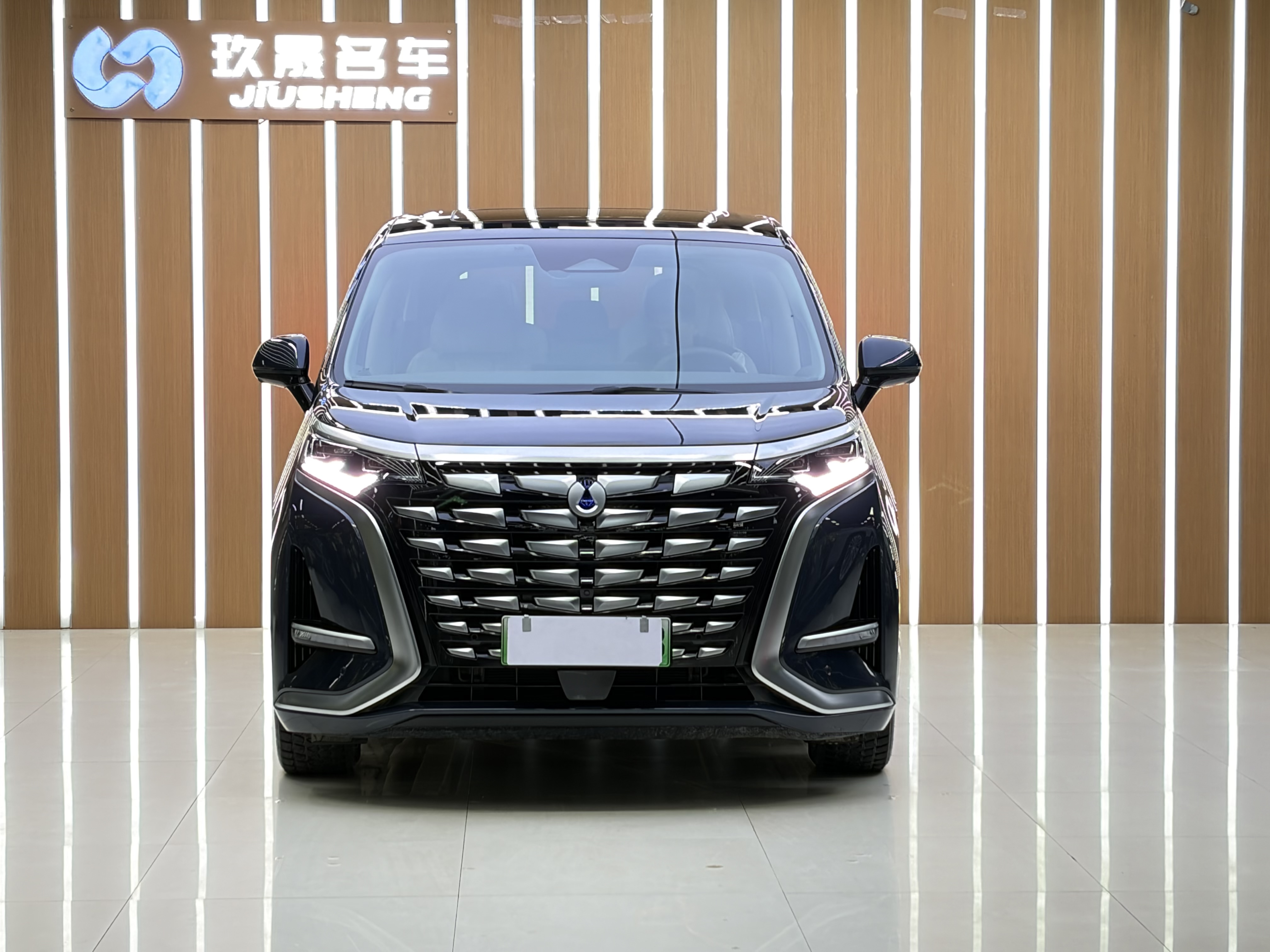 Denza D9 2023 صورة سيارة #2