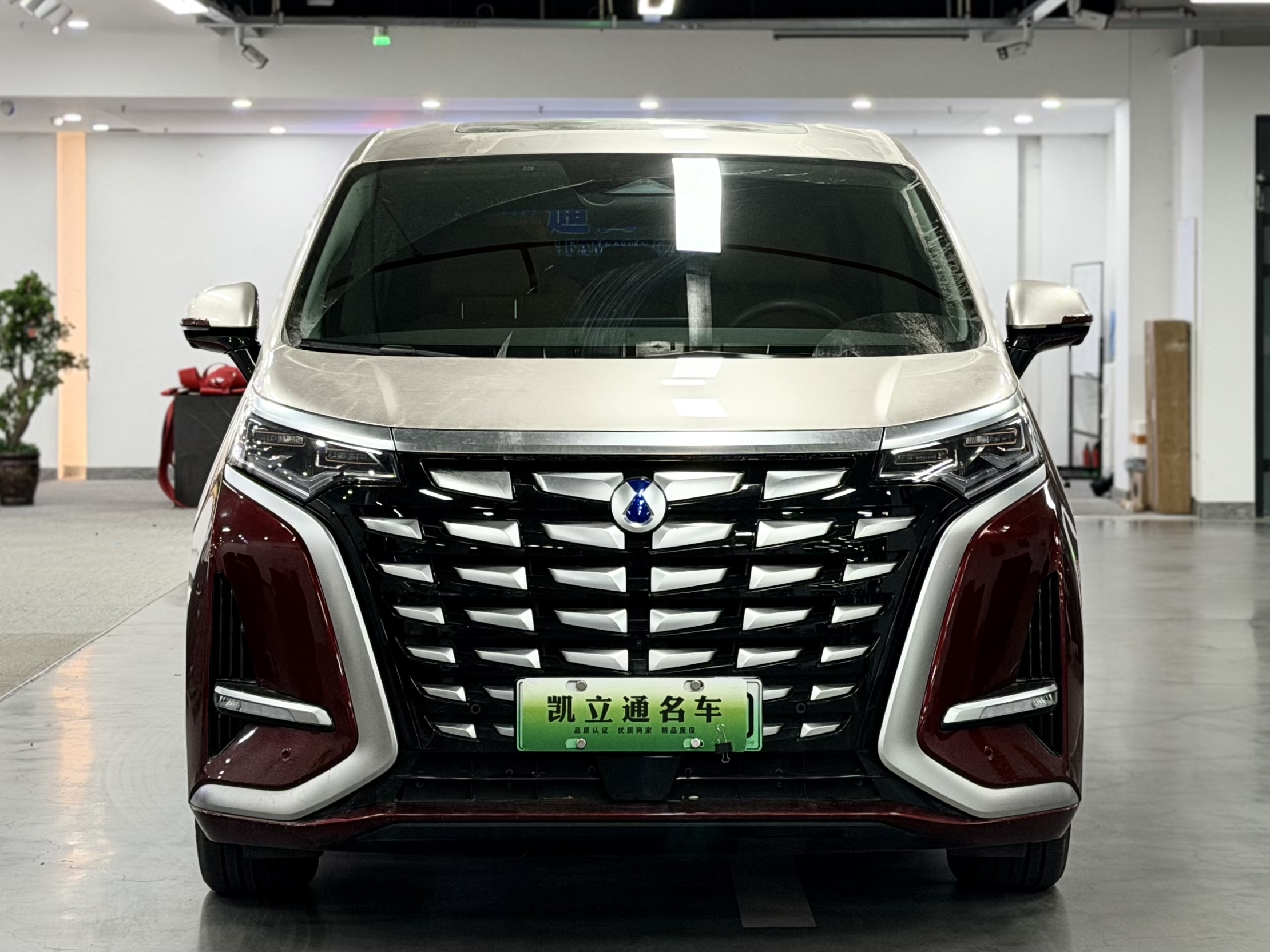 Denza D9 2023 imagem de carro #2