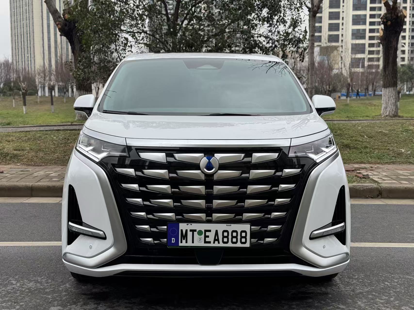 Denza D9 2023 immagine di auto #2