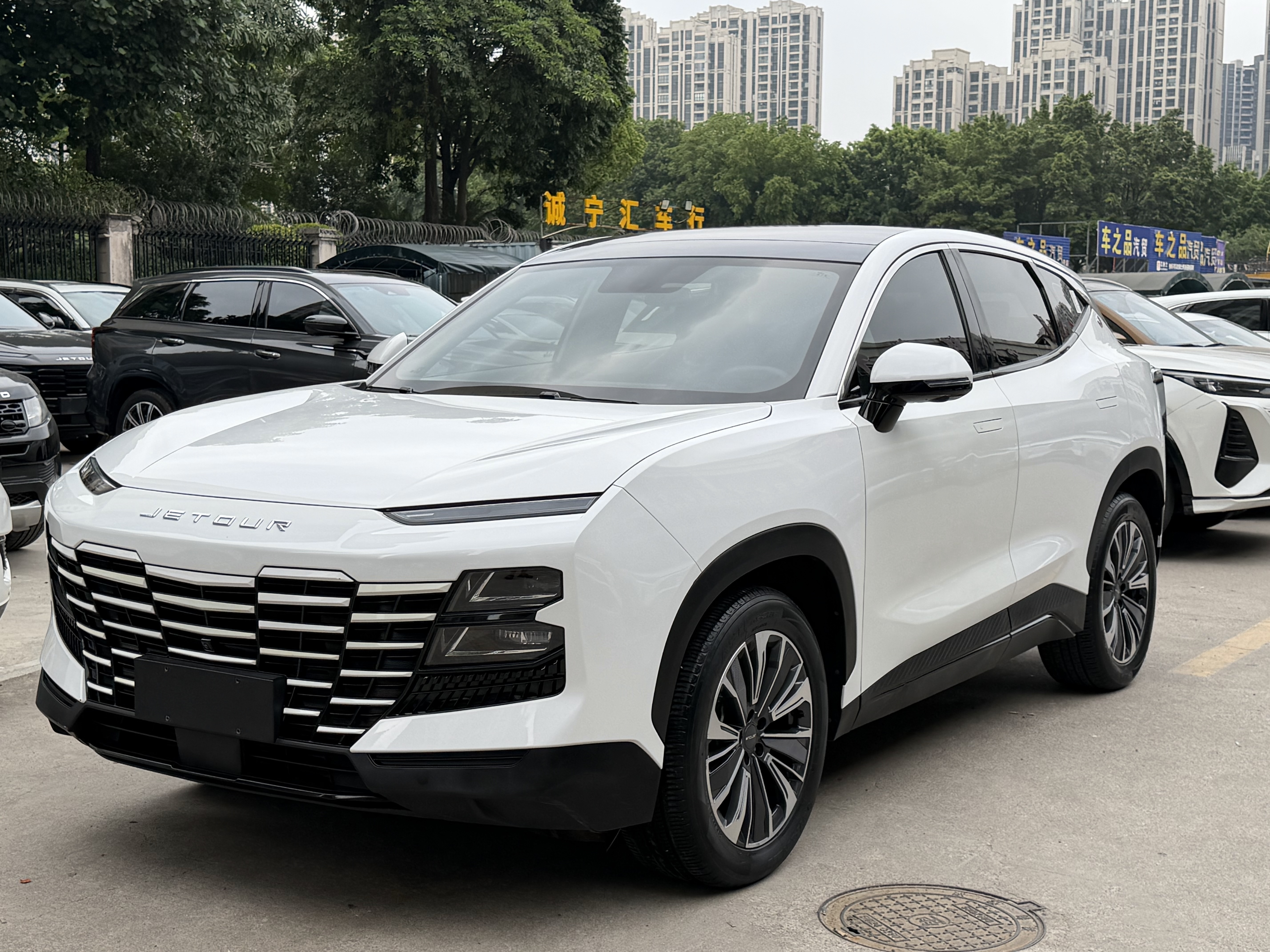 Dashing 2022 immagine di auto #2
