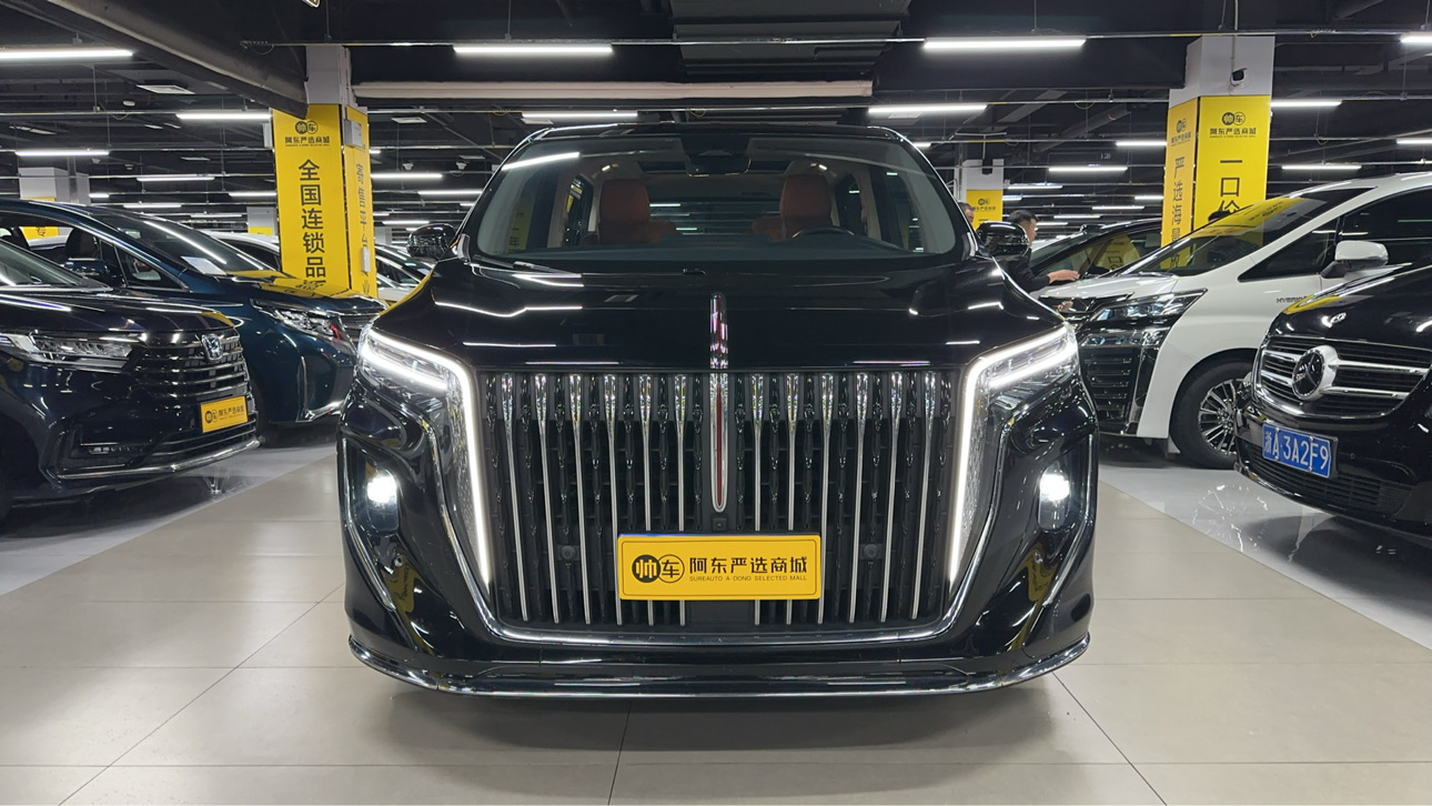 HongQi GuoLi 2022 car image #2