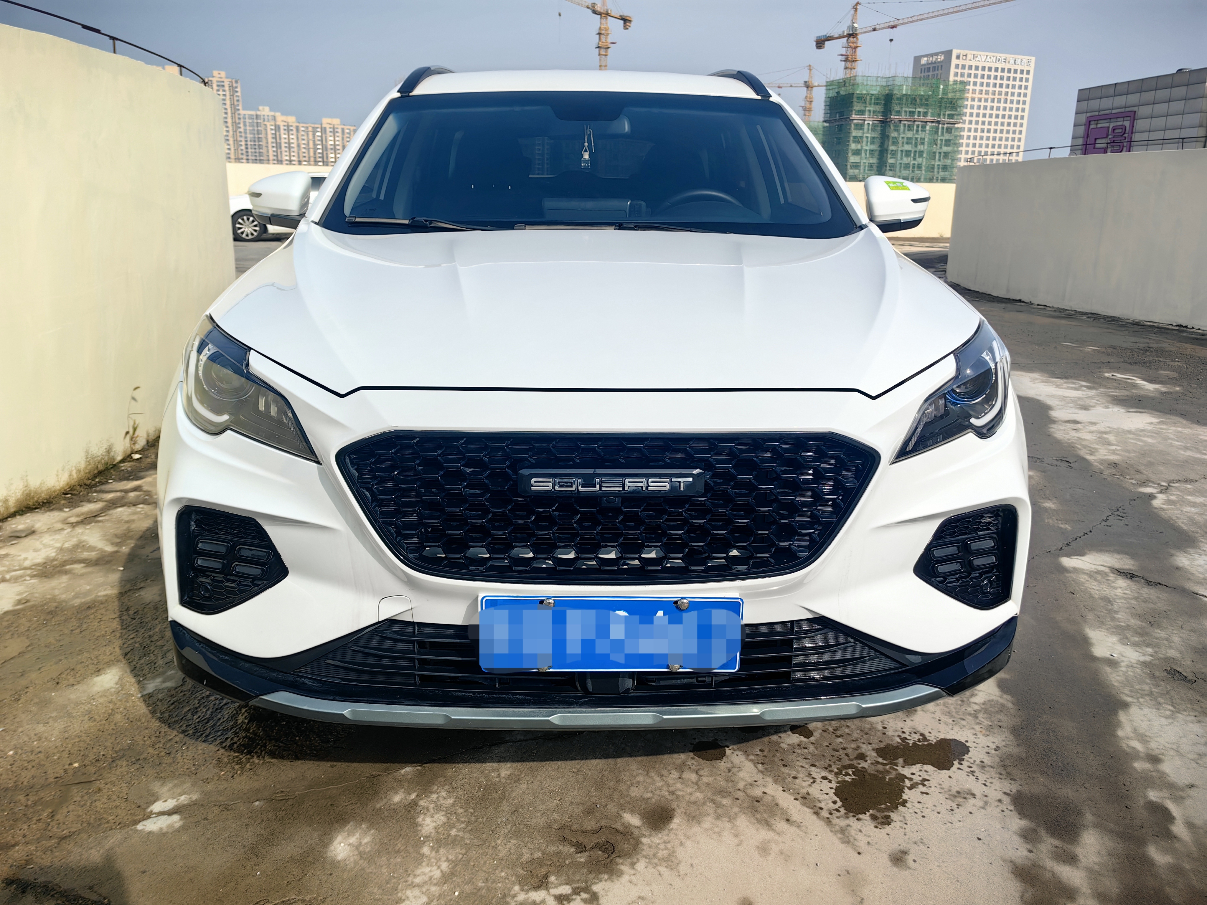 Soueast DX8 S 2023 immagine di auto #2