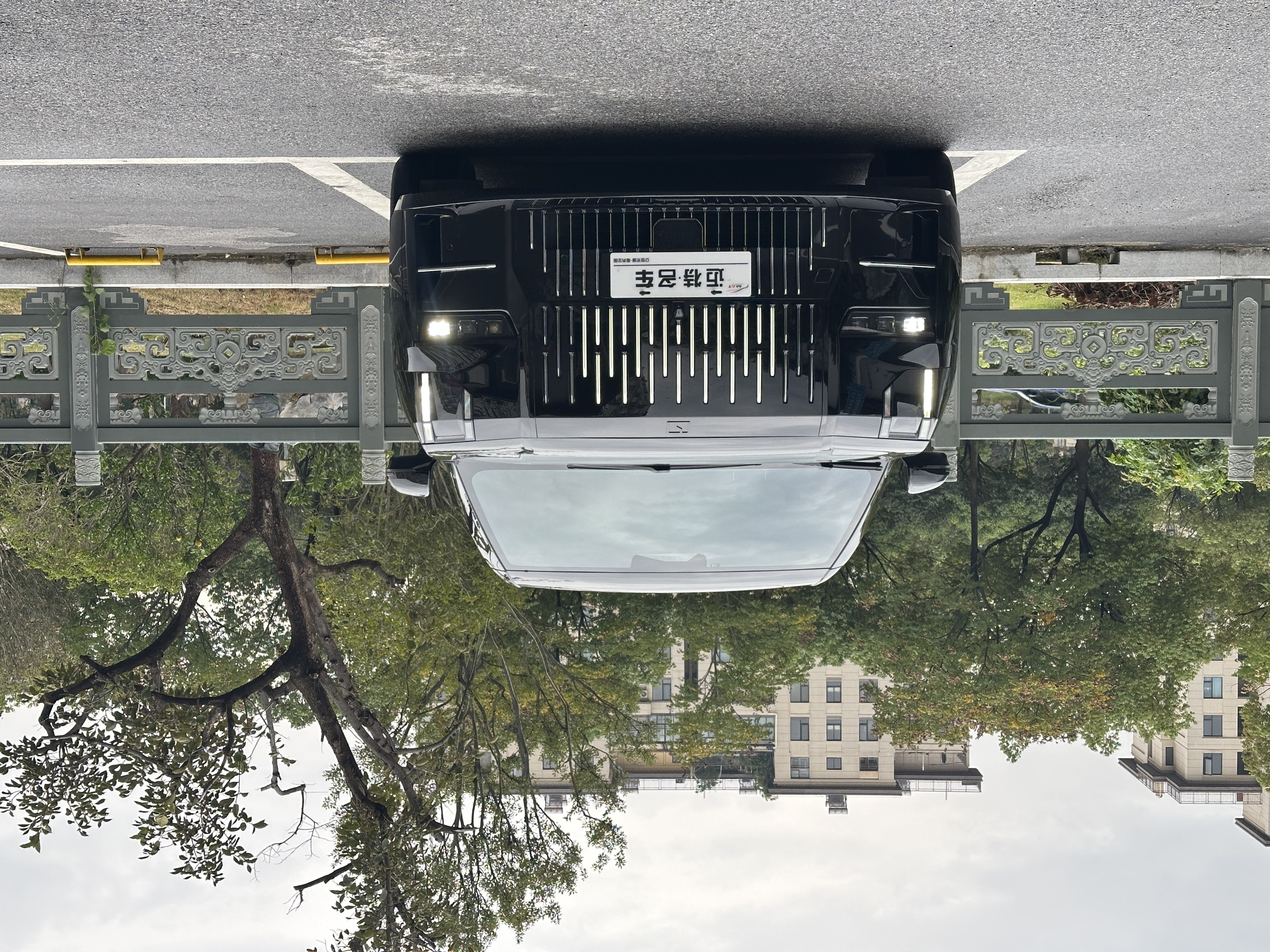 极氪 极氪009 2023 汽车图片 #2