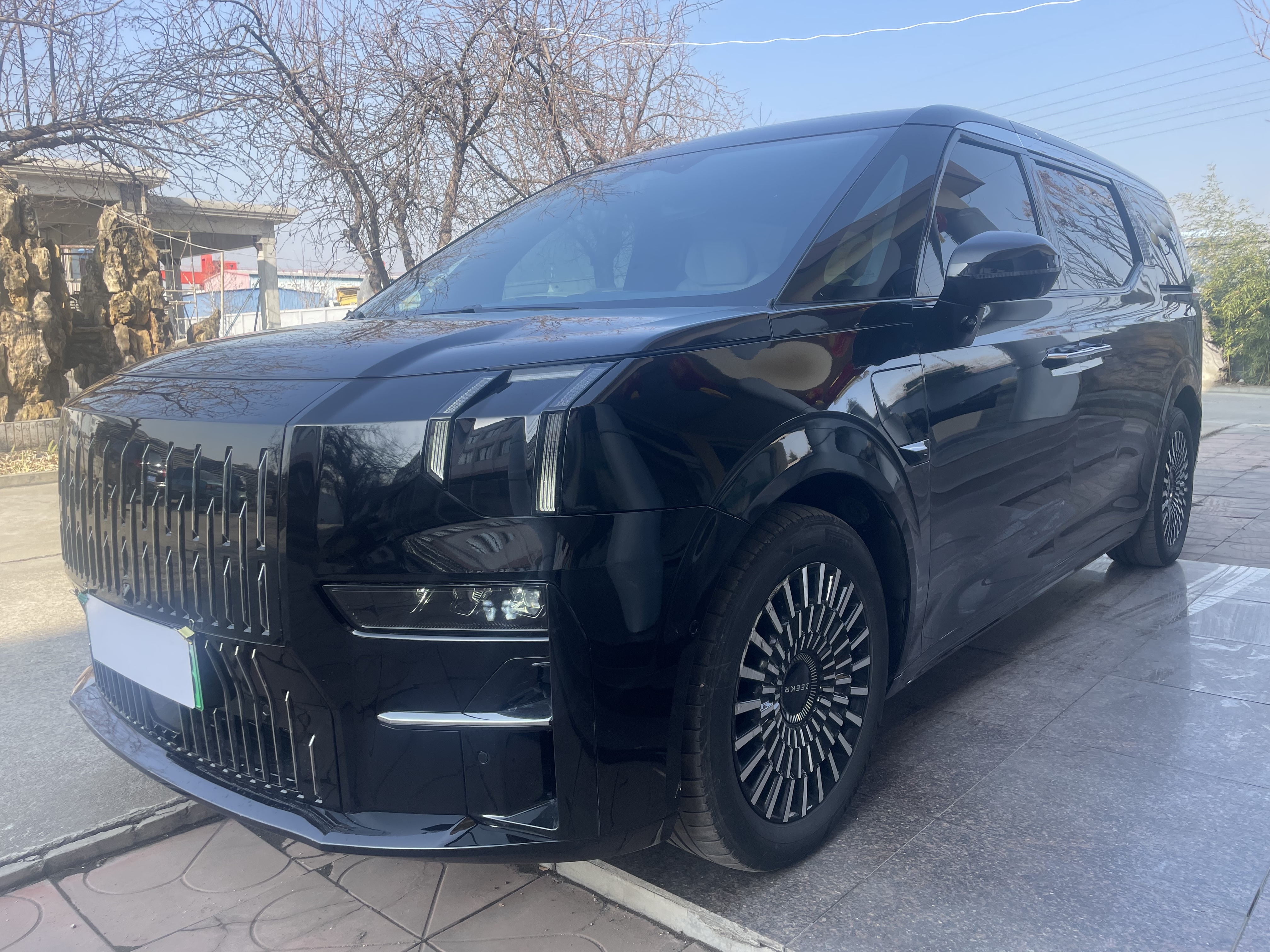 极氪 极氪009 2023 汽车图片 #2