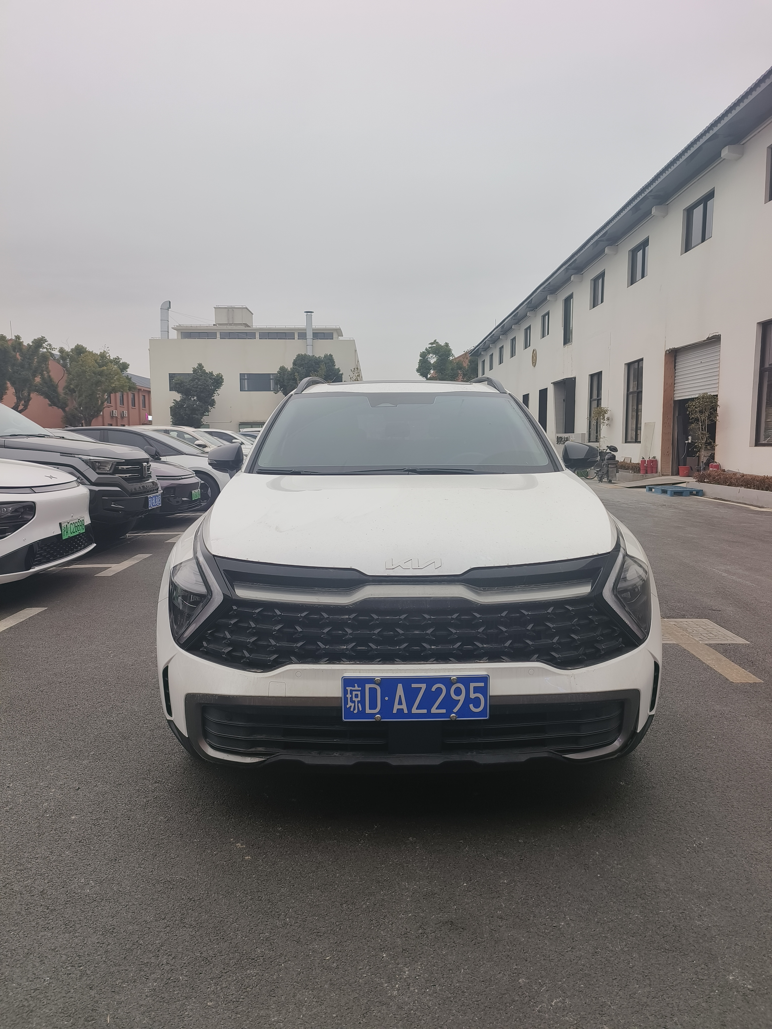 Kia Sportage 2024 car image #2