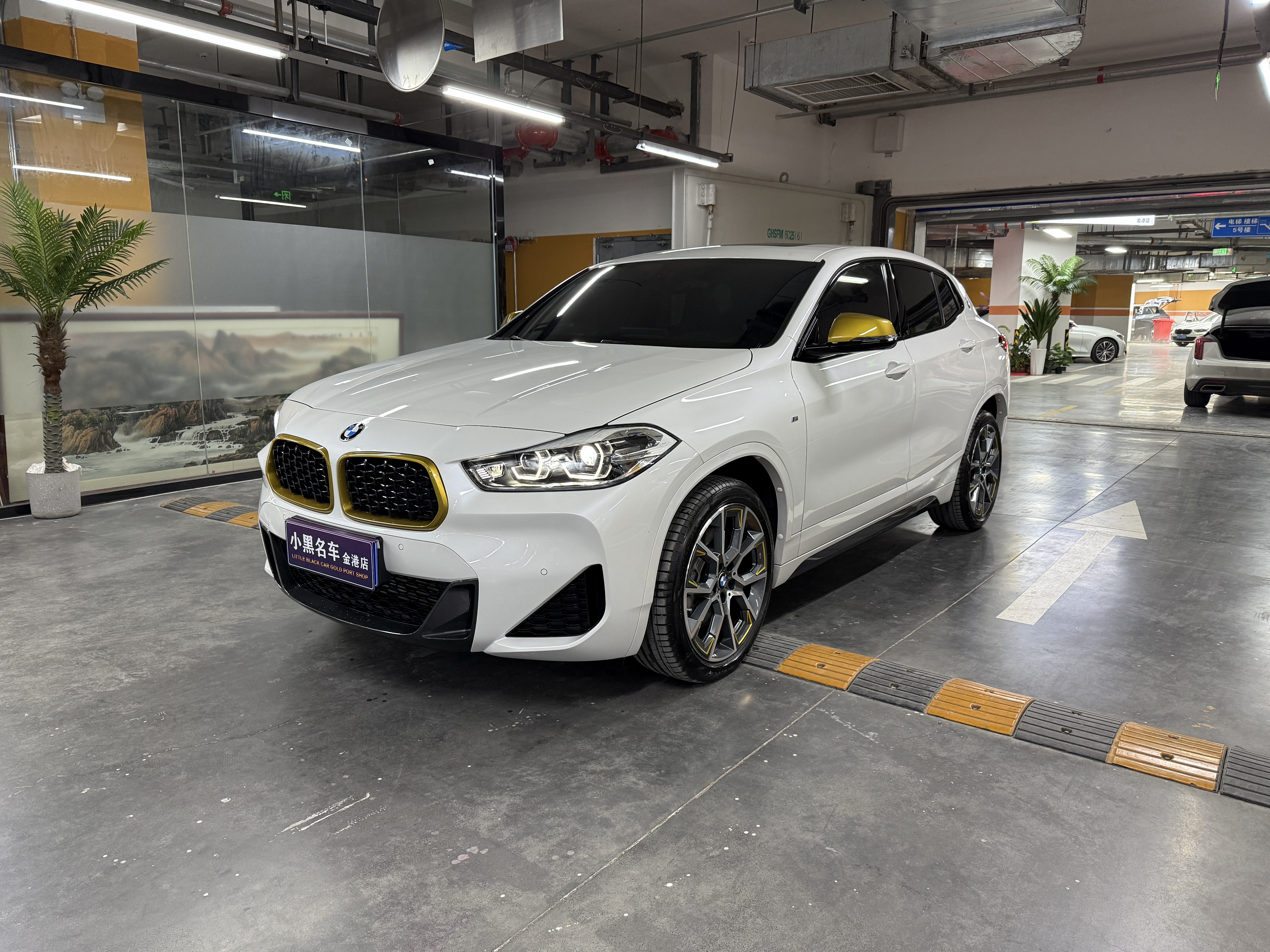 BMW X2 2024 car image #2