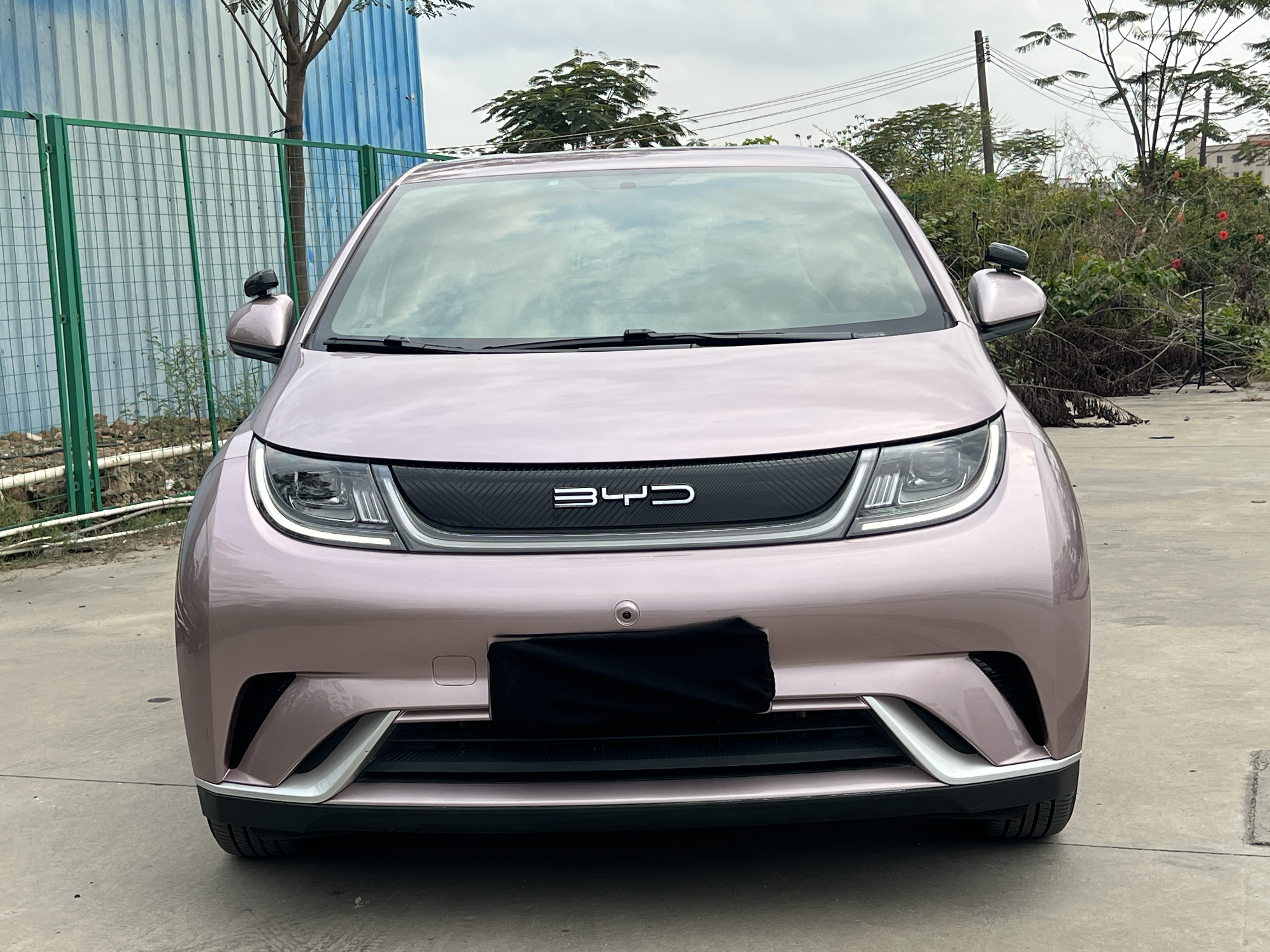 BYD Dolphin 2023 صورة سيارة #2