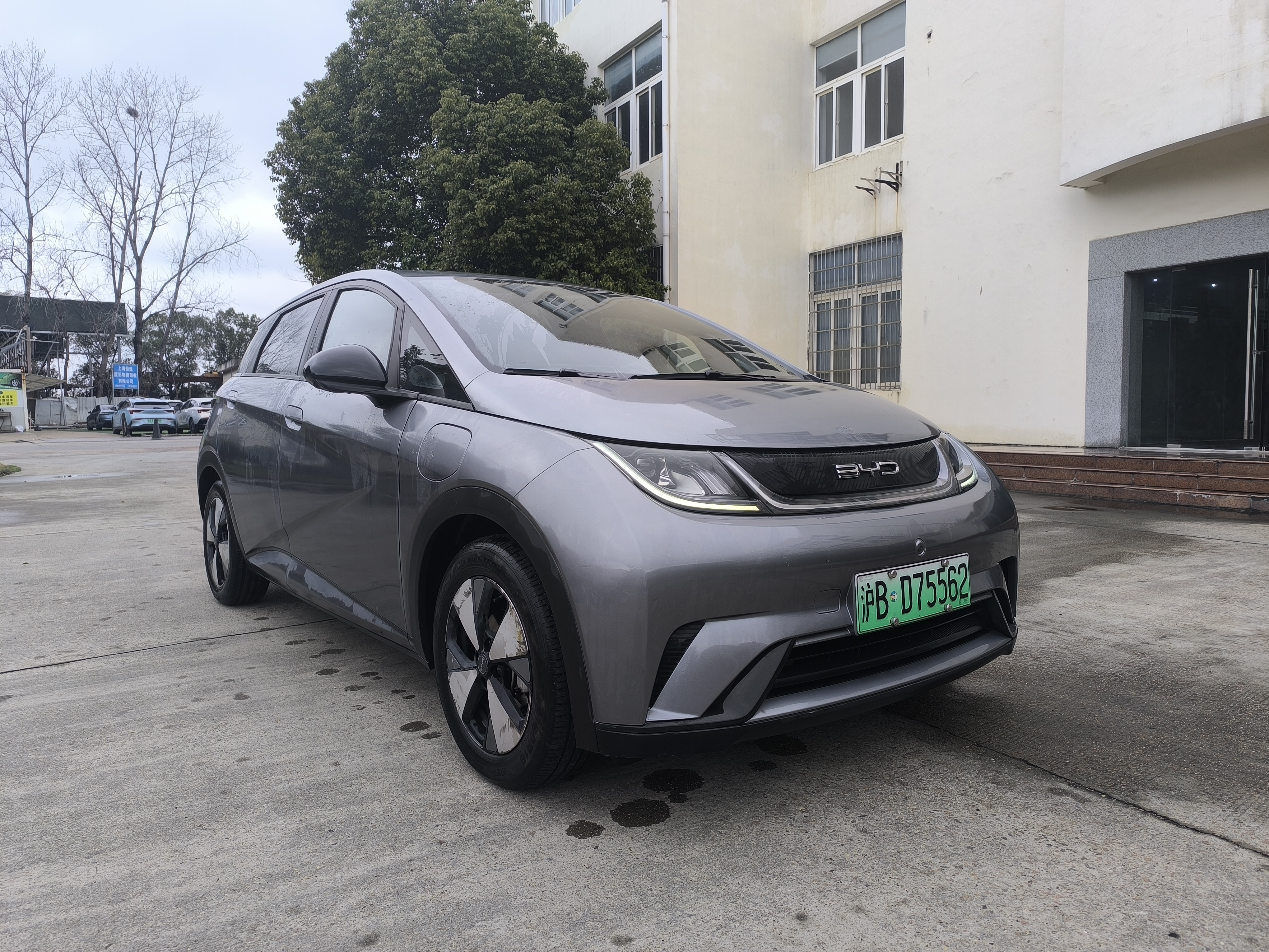 BYD Dolphin 2023 car image #2