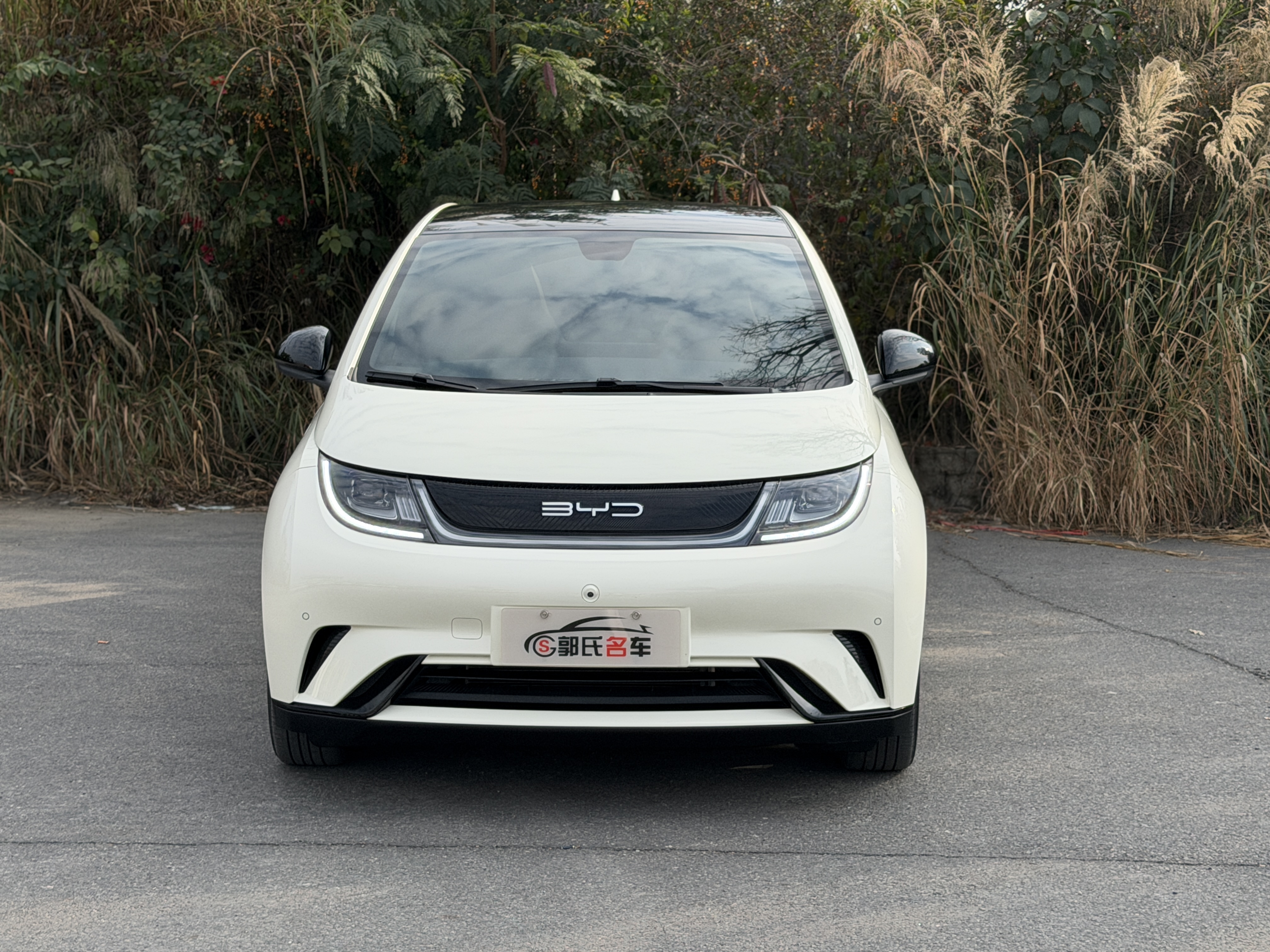 BYD Dolphin 2023 car image #2