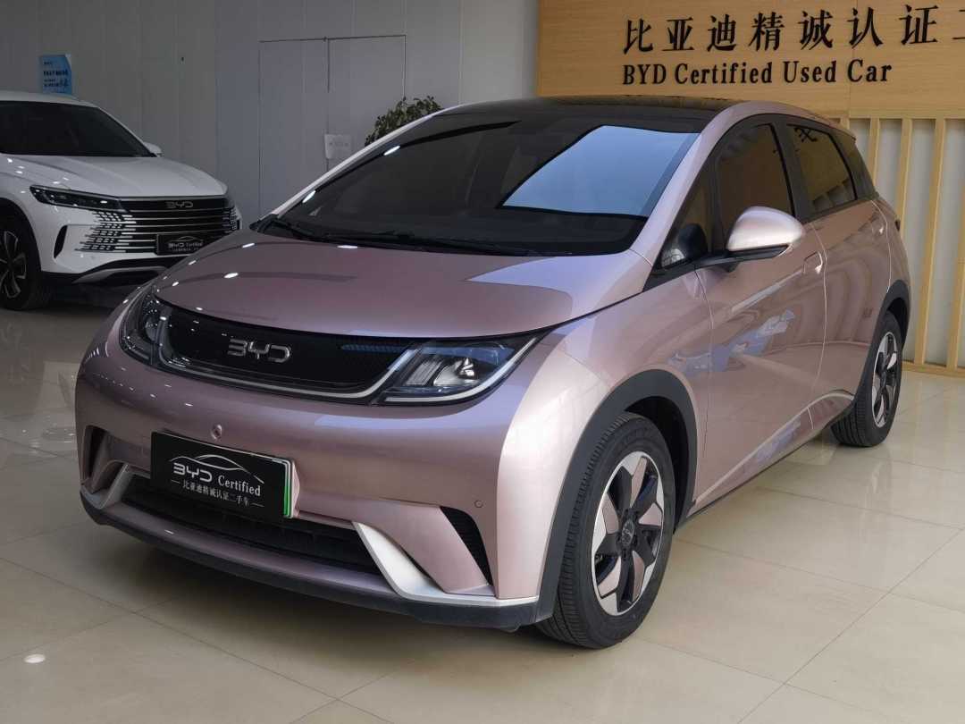 BYD Dolphin 2023 #2 BYD Dolphin 2023 car image #2