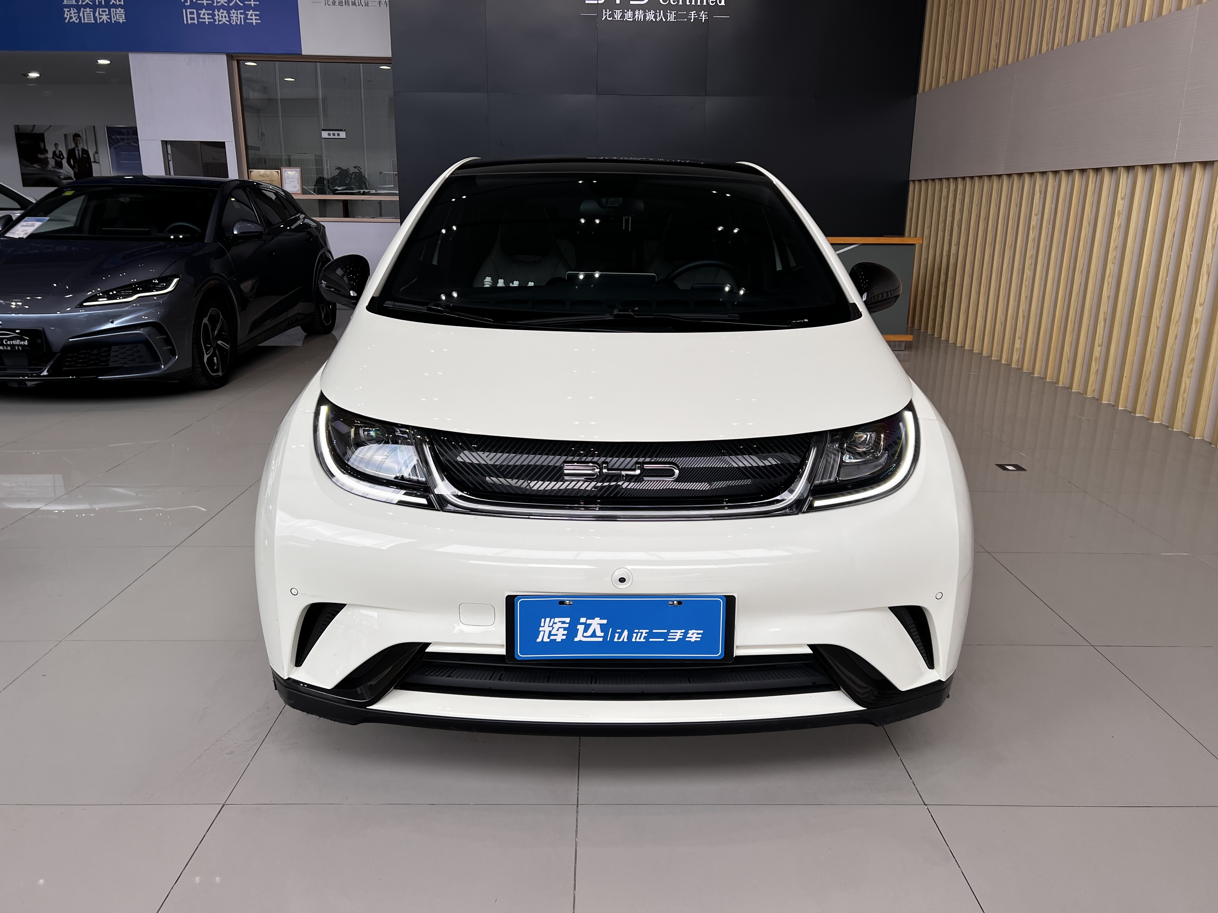 BYD Dolphin 2023 car image #2