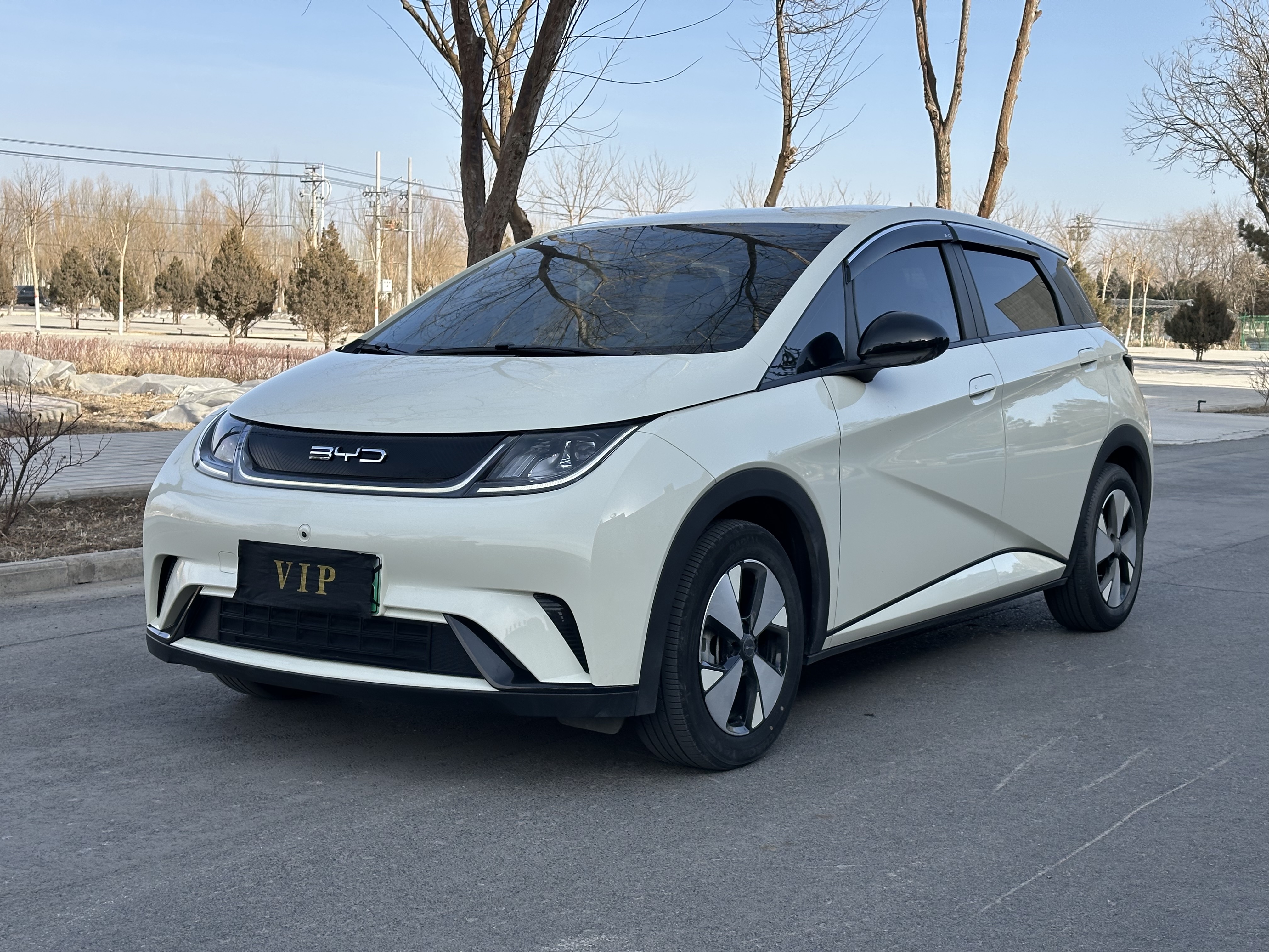 BYD Dolphin 2024 car image #2