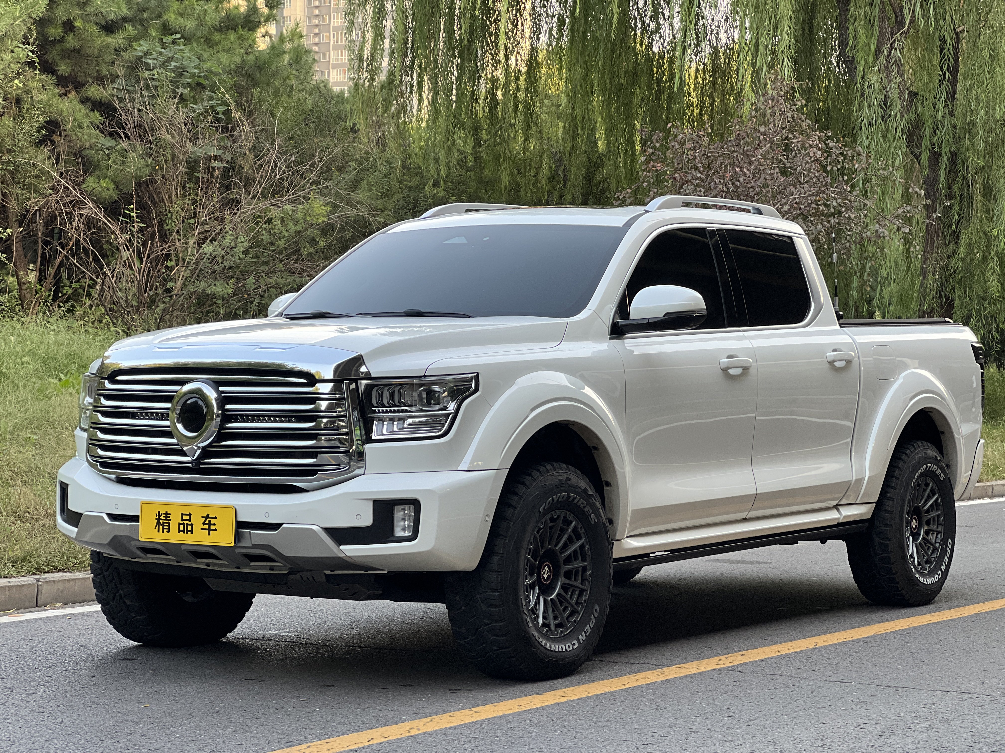 Great Wall Shanhai Pao 2023 car image #2