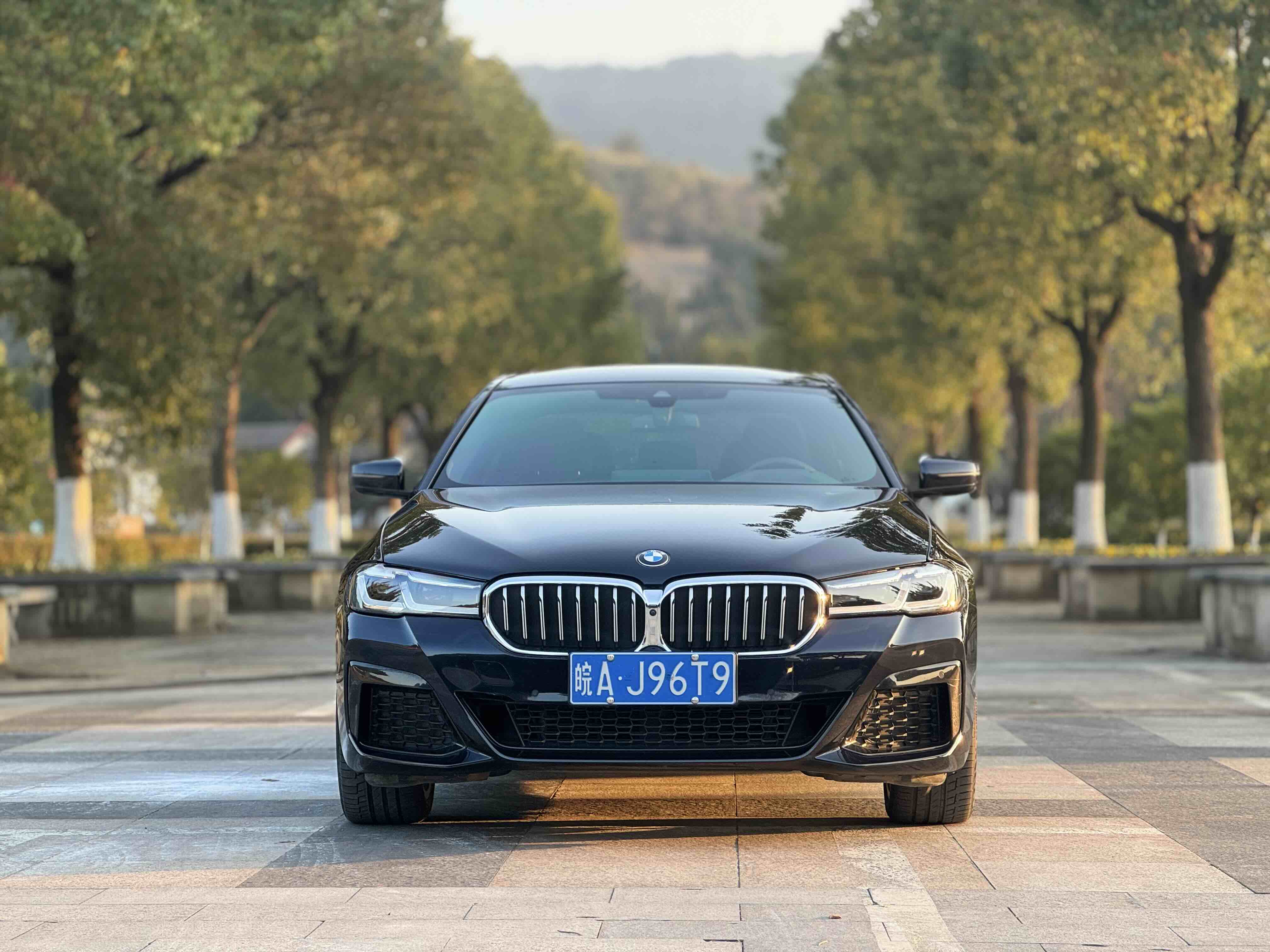 BMW 5 Series 2023 car image #2