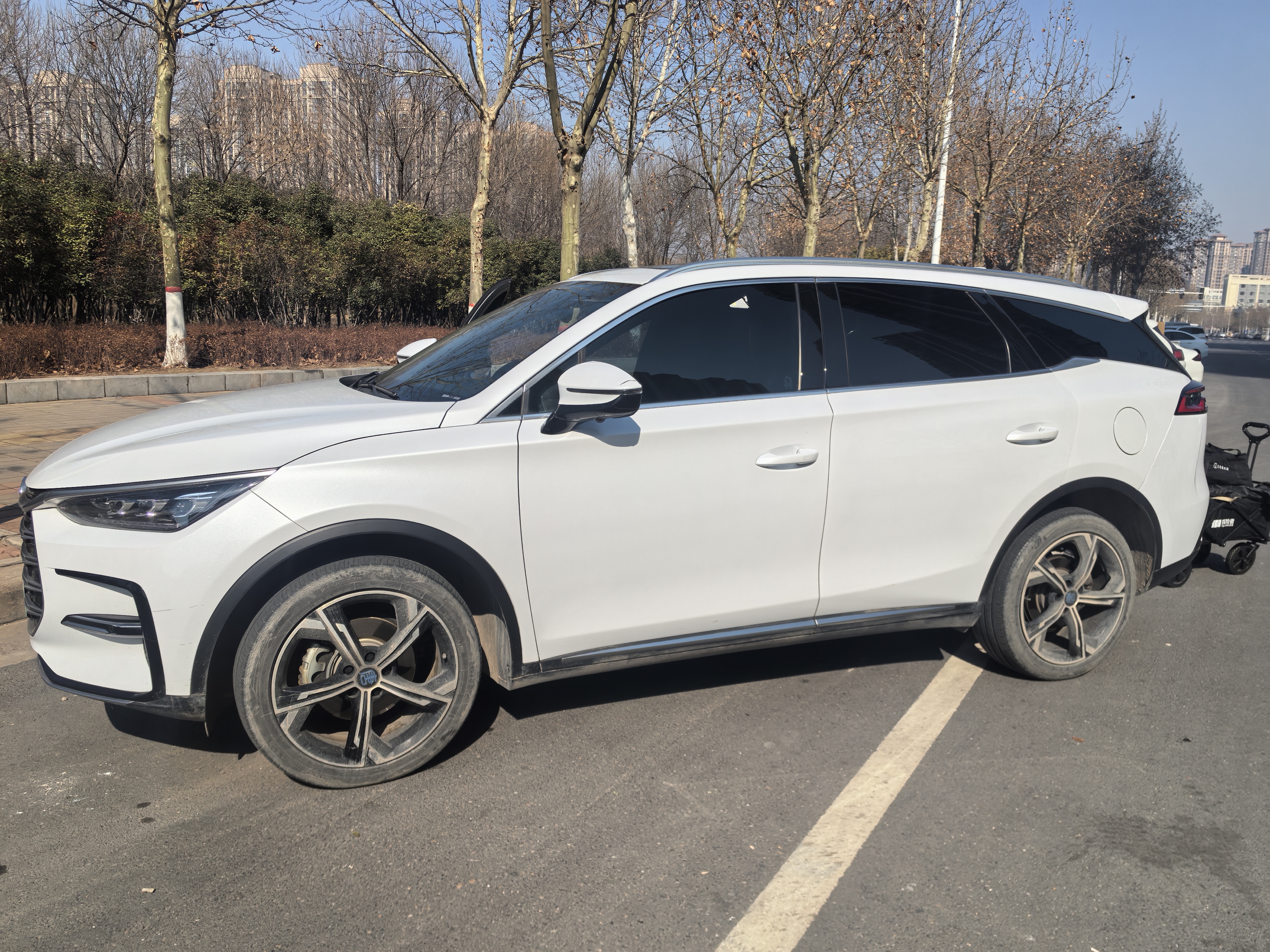 BYD Tang New Energy 2023 car image #2