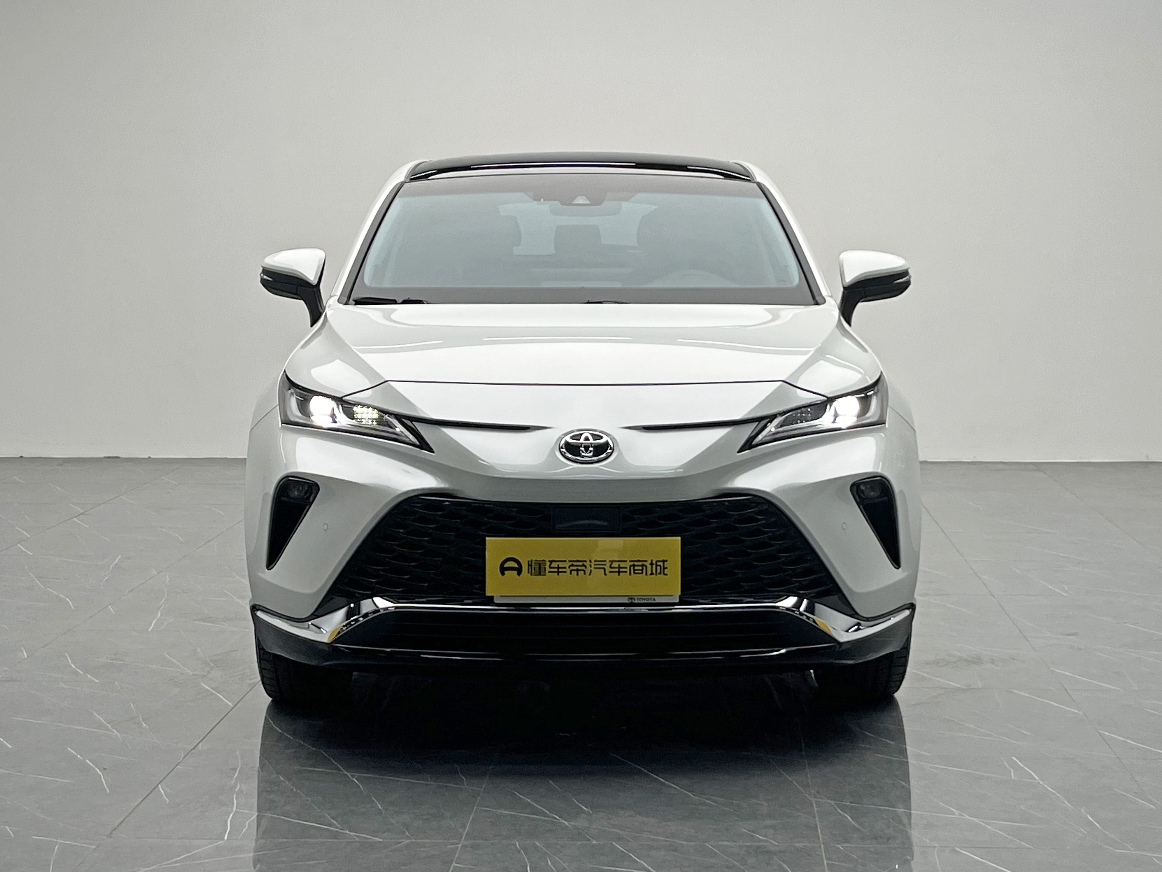 Toyota Venza 2024 car image #2