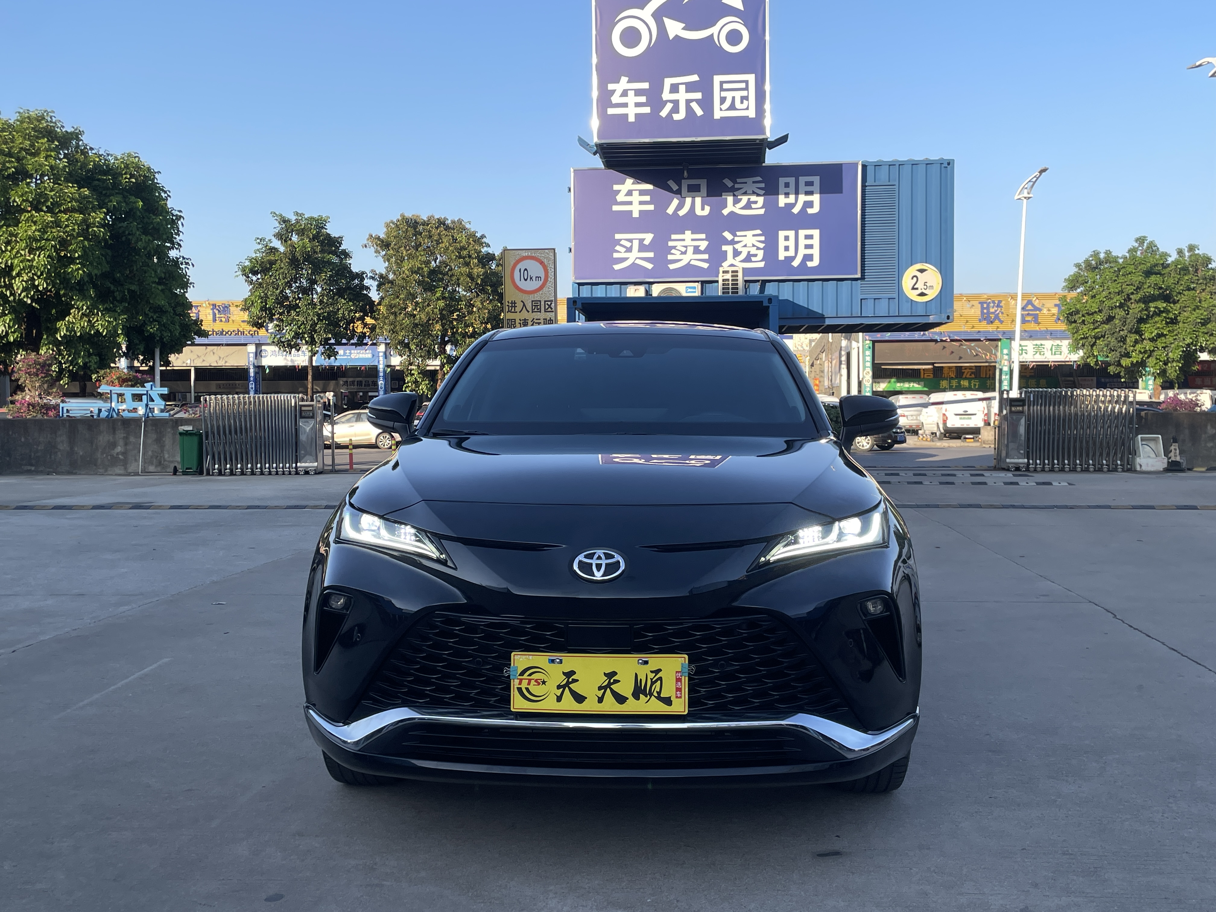 Toyota Venza 2024 car image #2