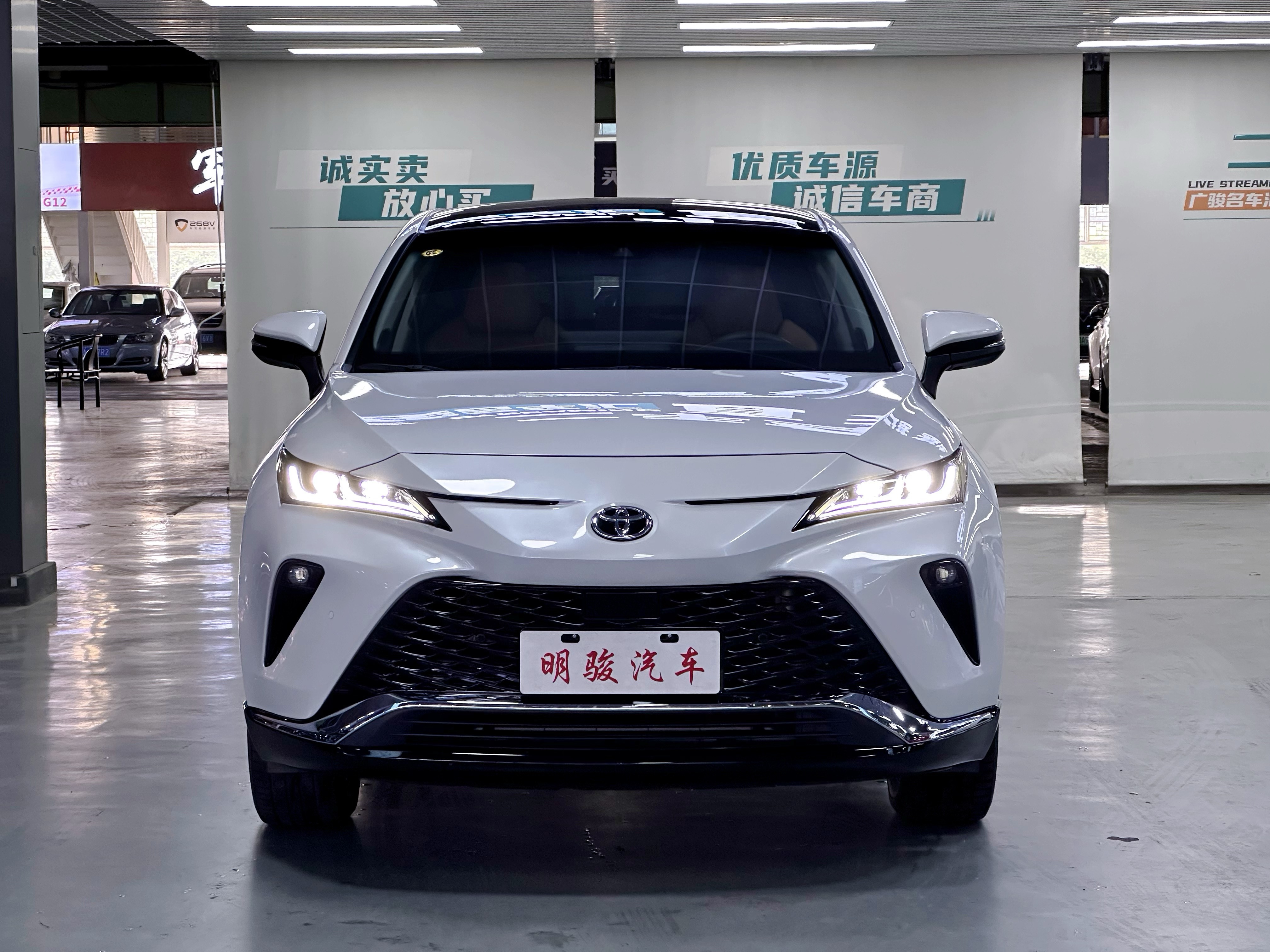 Toyota Venza 2024 immagine di auto #2