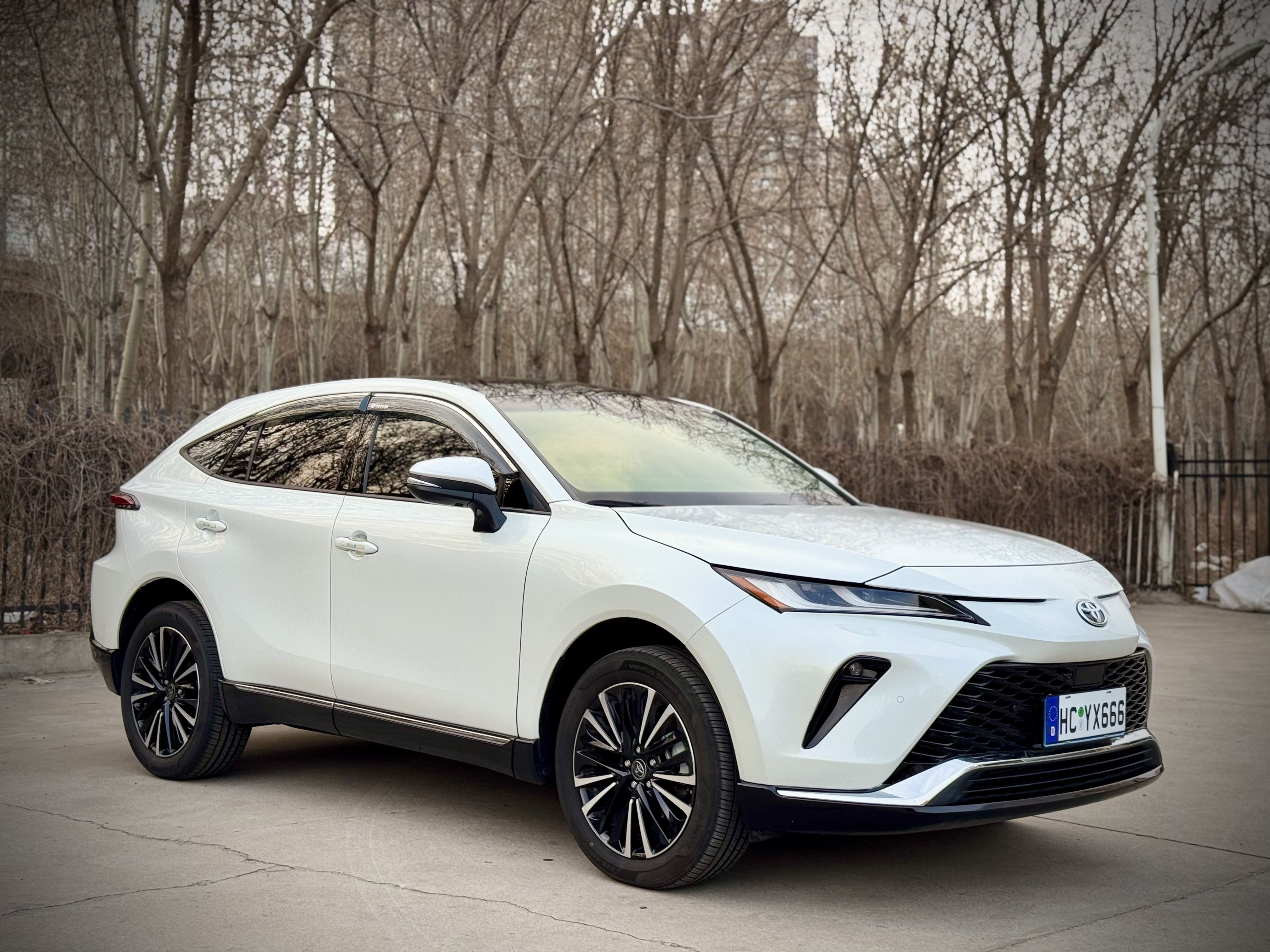 Toyota Venza 2023 car image #2