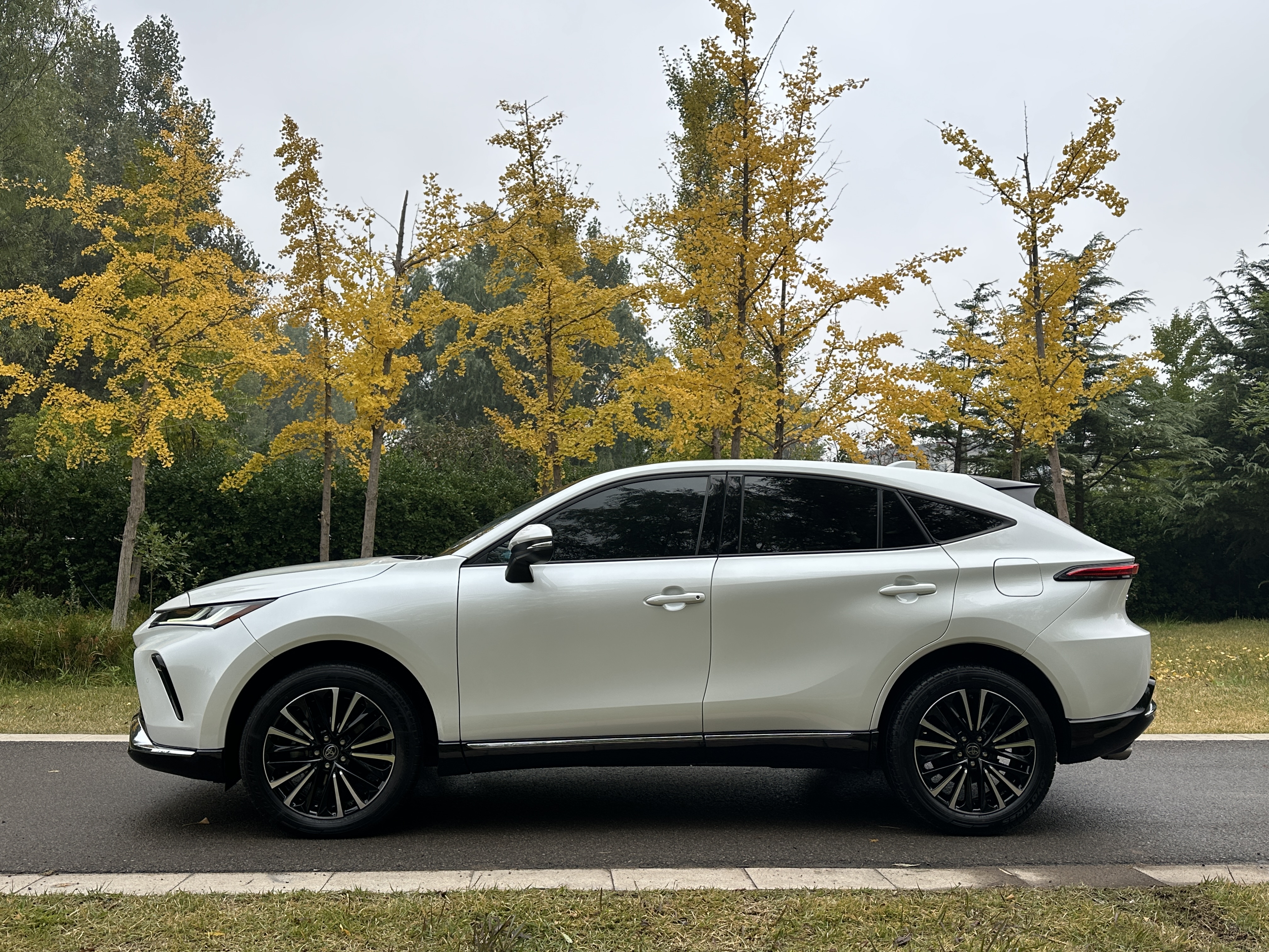 Toyota Venza 2023 immagine di auto #2