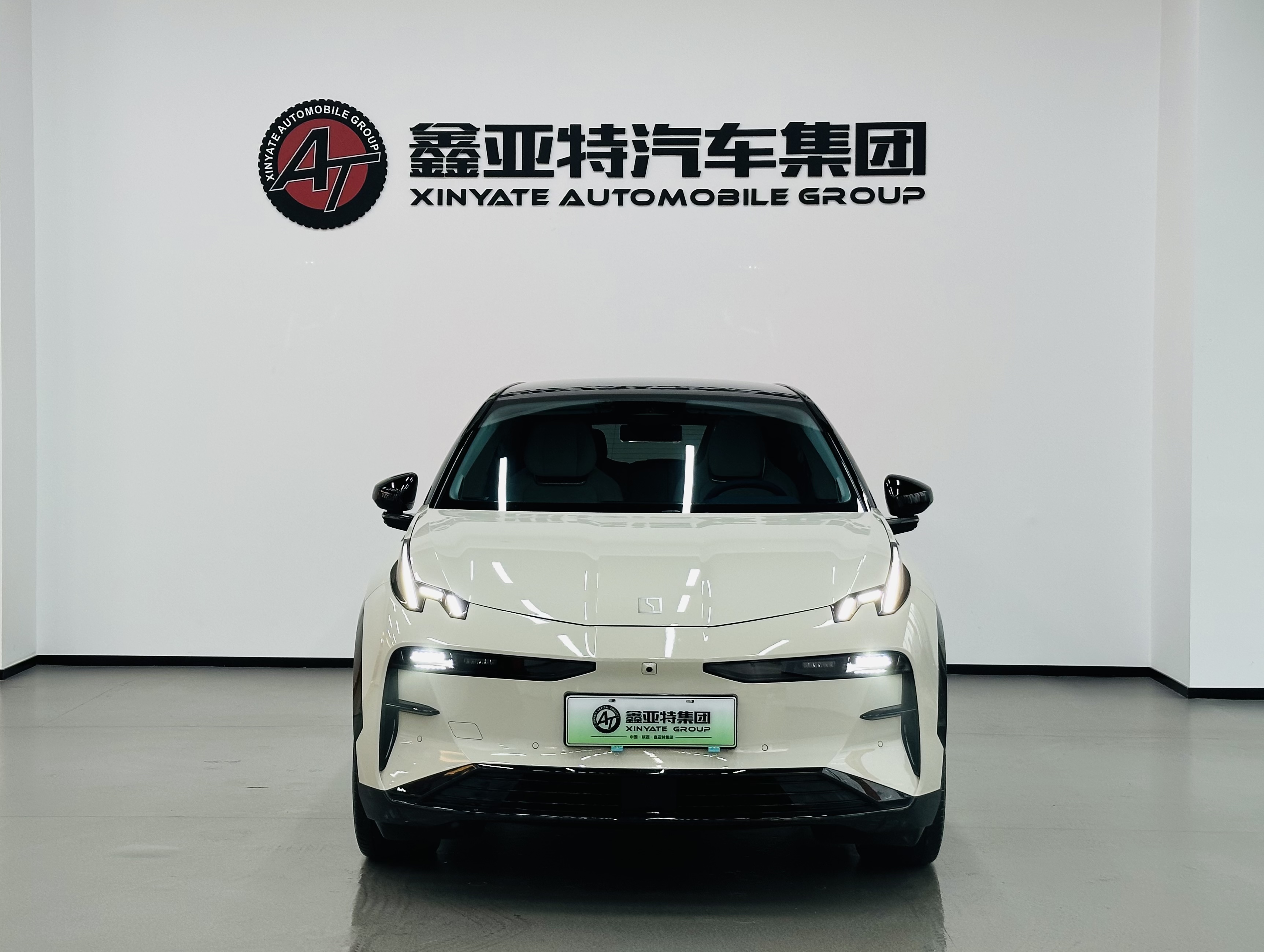 极氪 极氪X 2023 汽车图片 #2