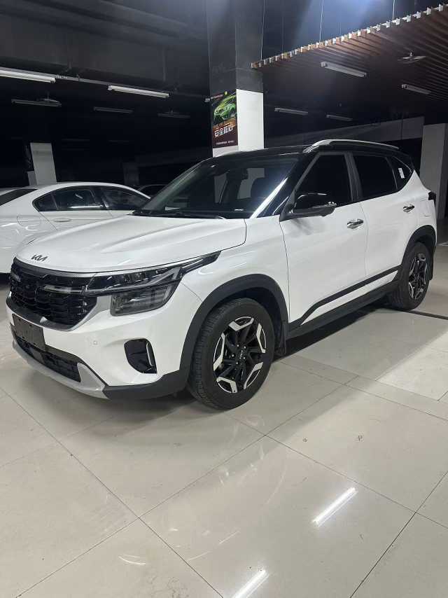 Kia Seltos 2023 imagen de coche #2