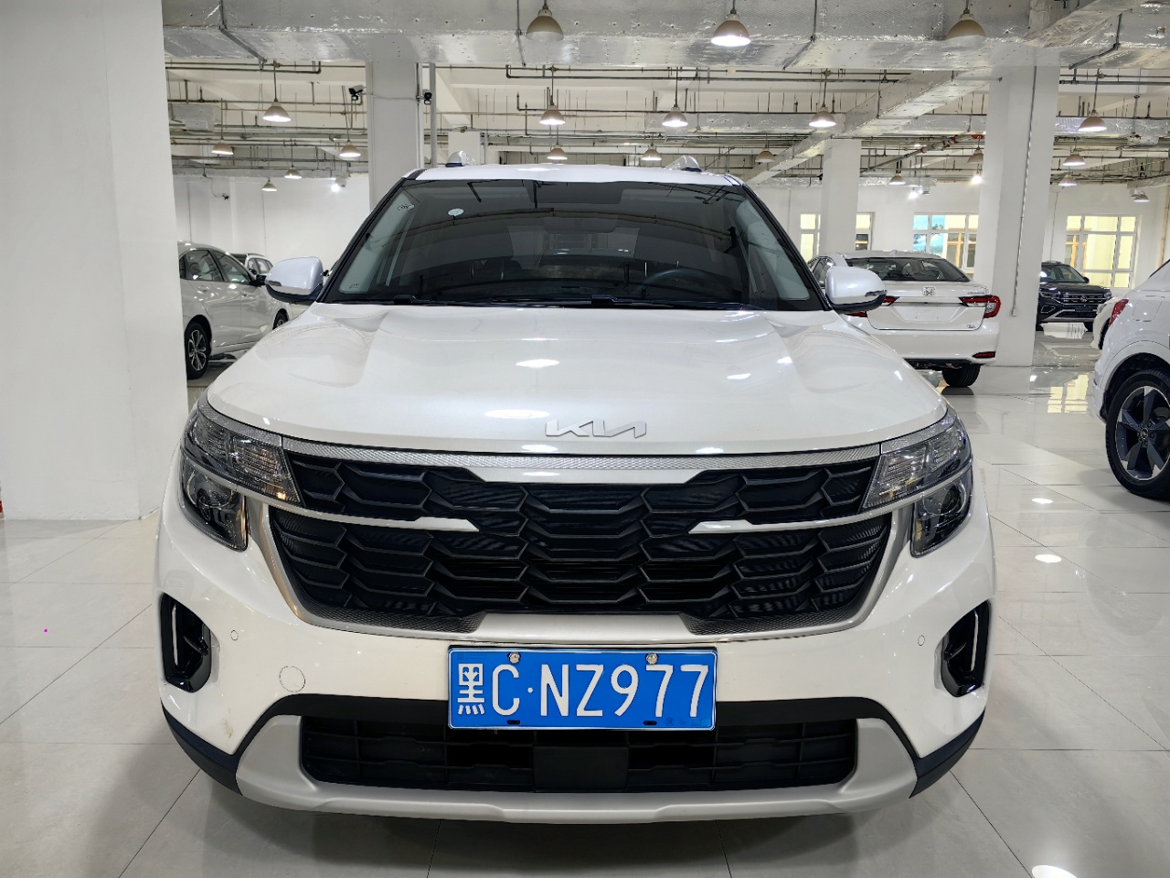 Kia Seltos 2023 imagen de coche #2