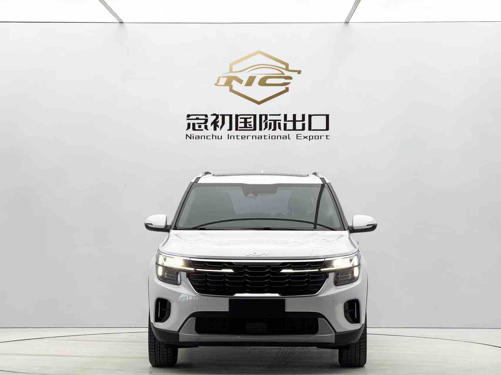 Kia Seltos 2023 imagen de coche #2