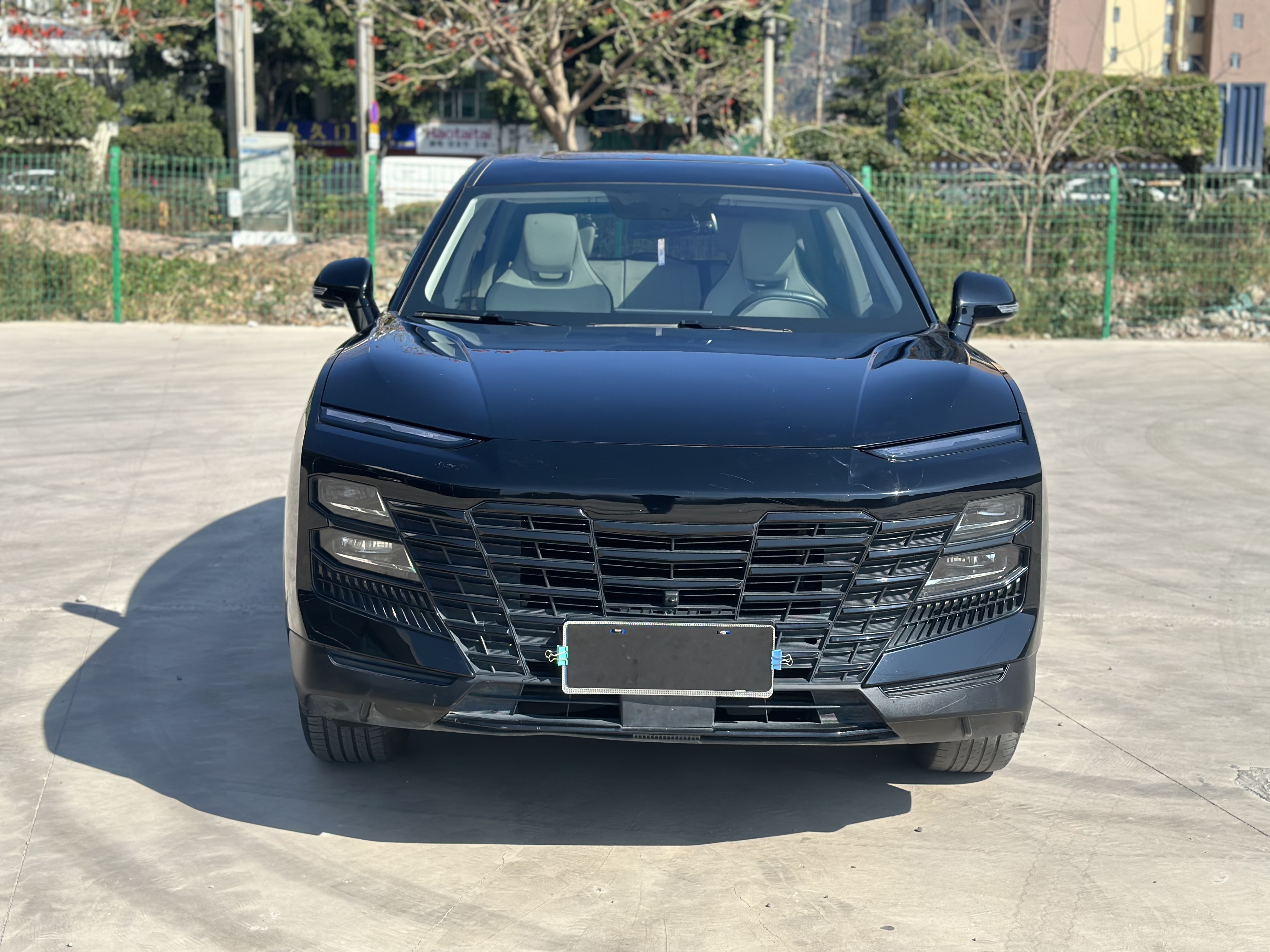 Dashing 2024 immagine di auto #2