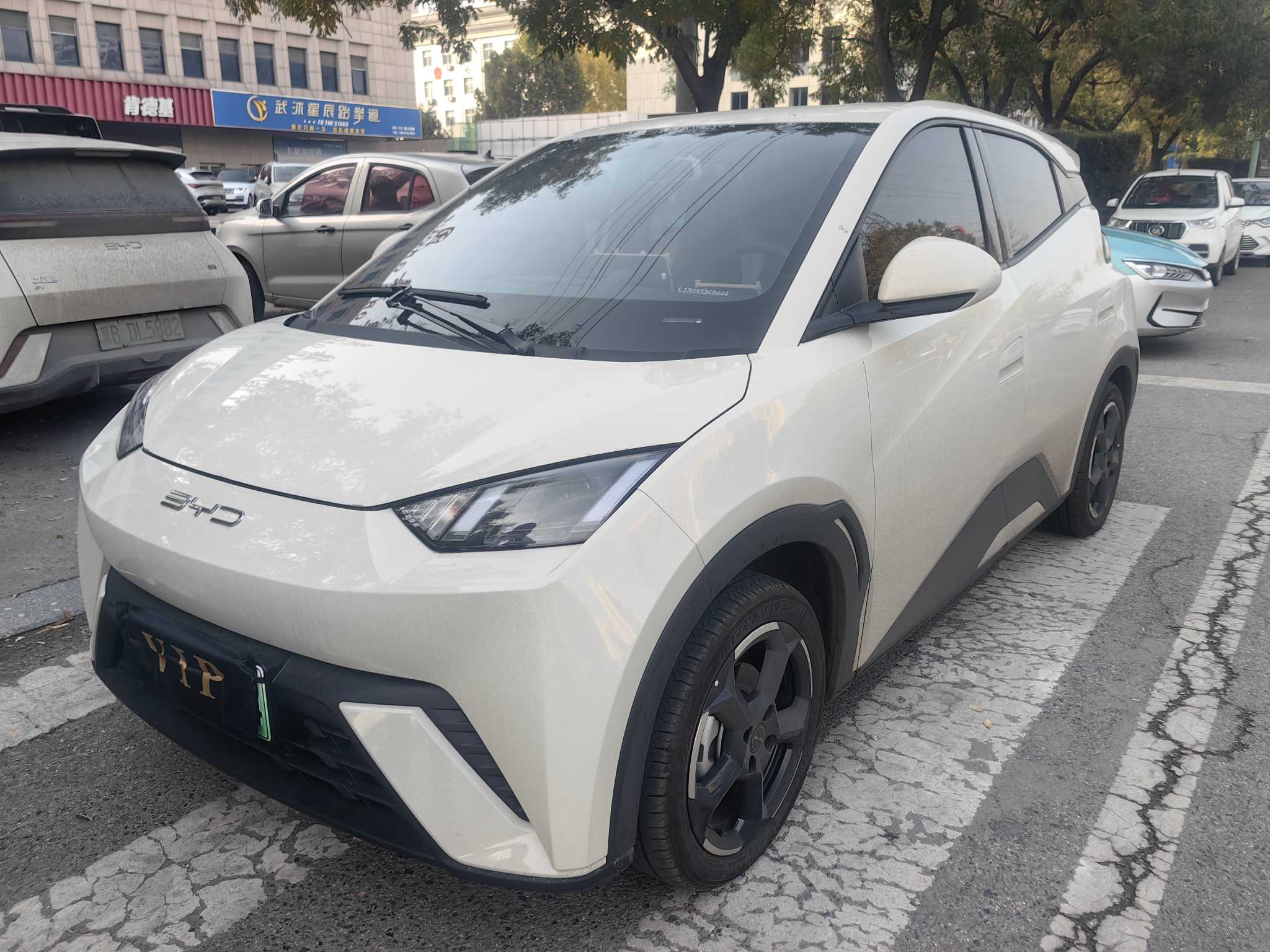 BYD M9 2023 image de voiture #2