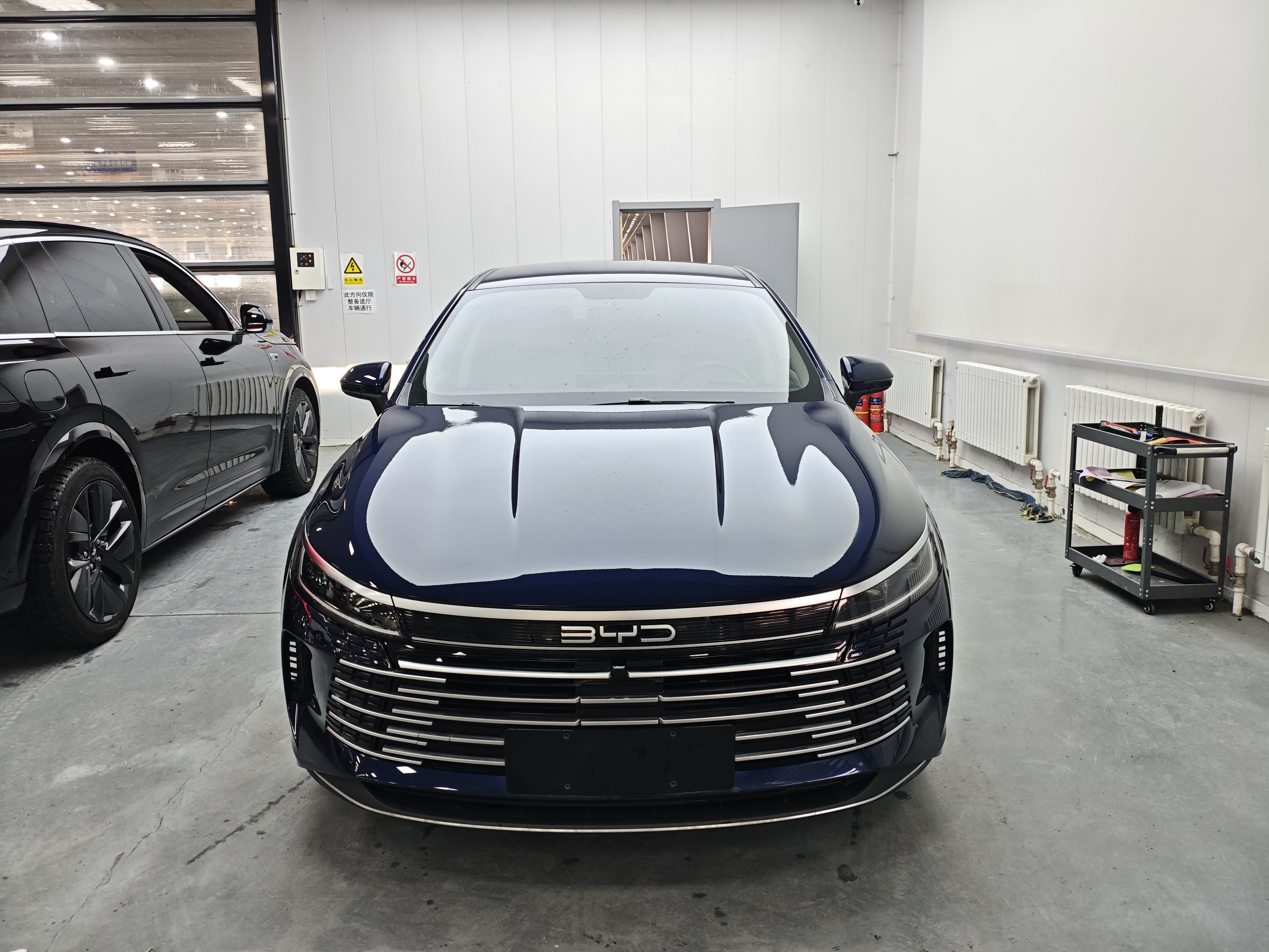 BYD Destroyer 05 2024 imagen de coche #2