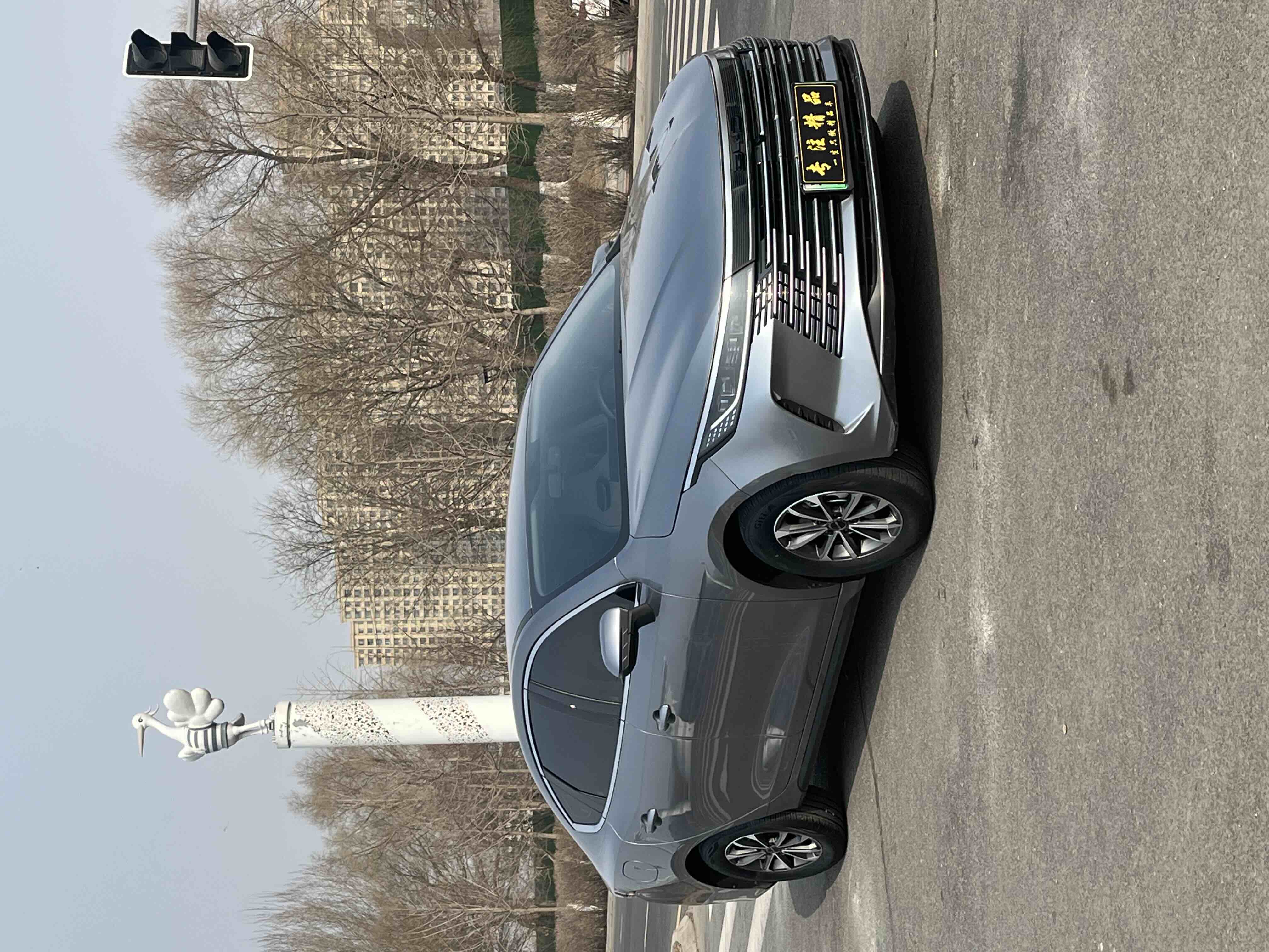 BYD Destroyer 05 2023 imagen de coche #2