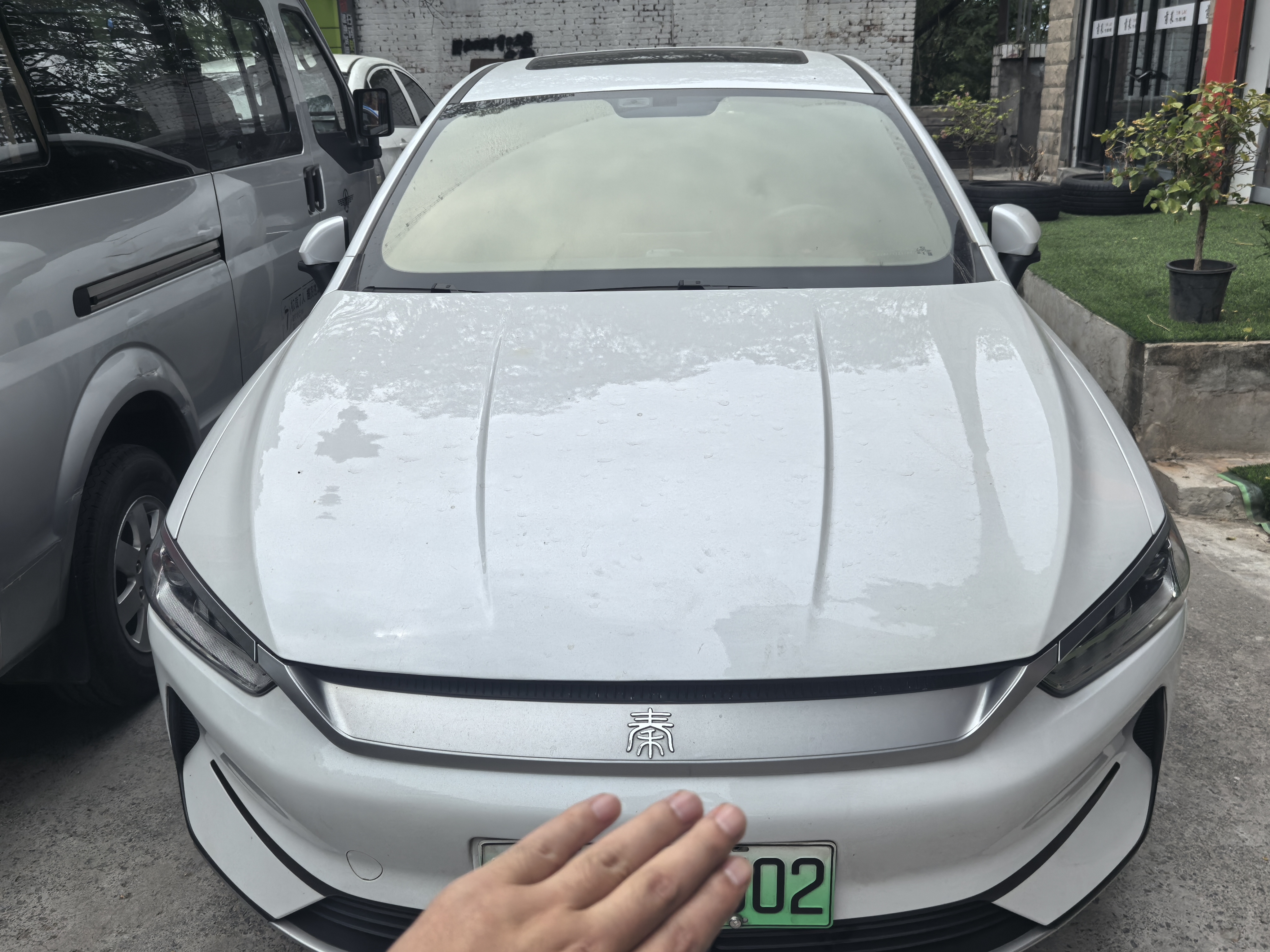 BYD Qin 2023 car image #2