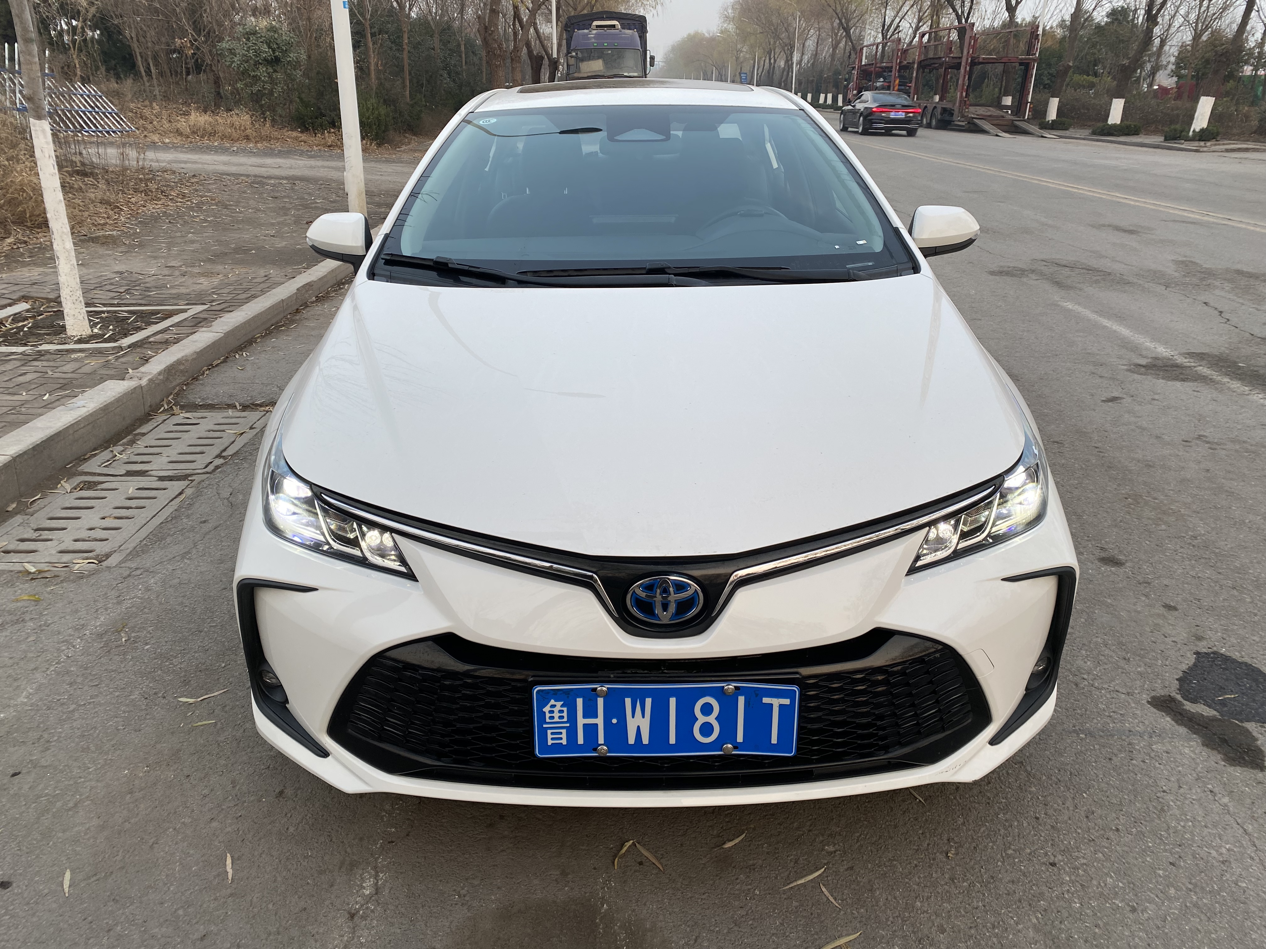 Corolla 2023 car image #2