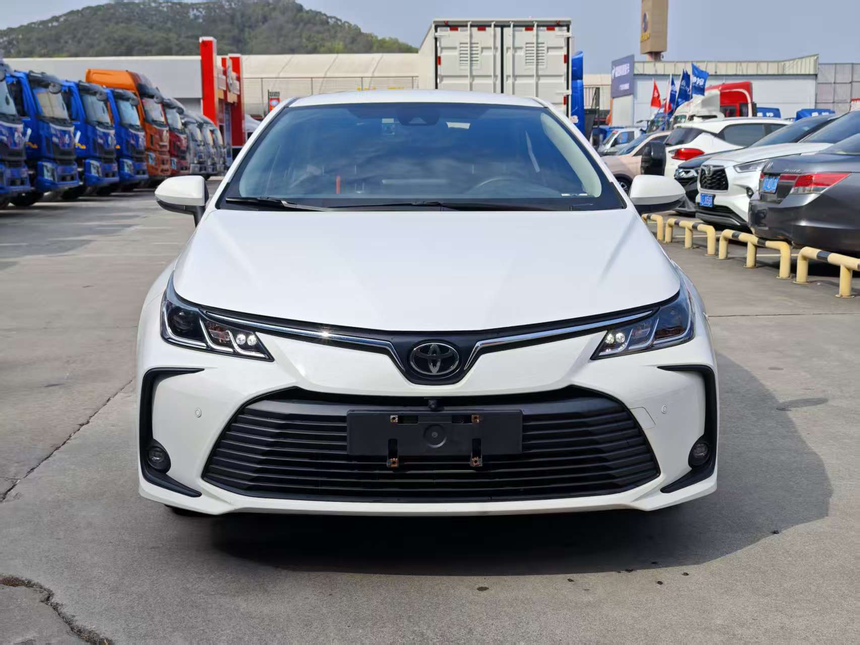 Corolla 2022 car image #2