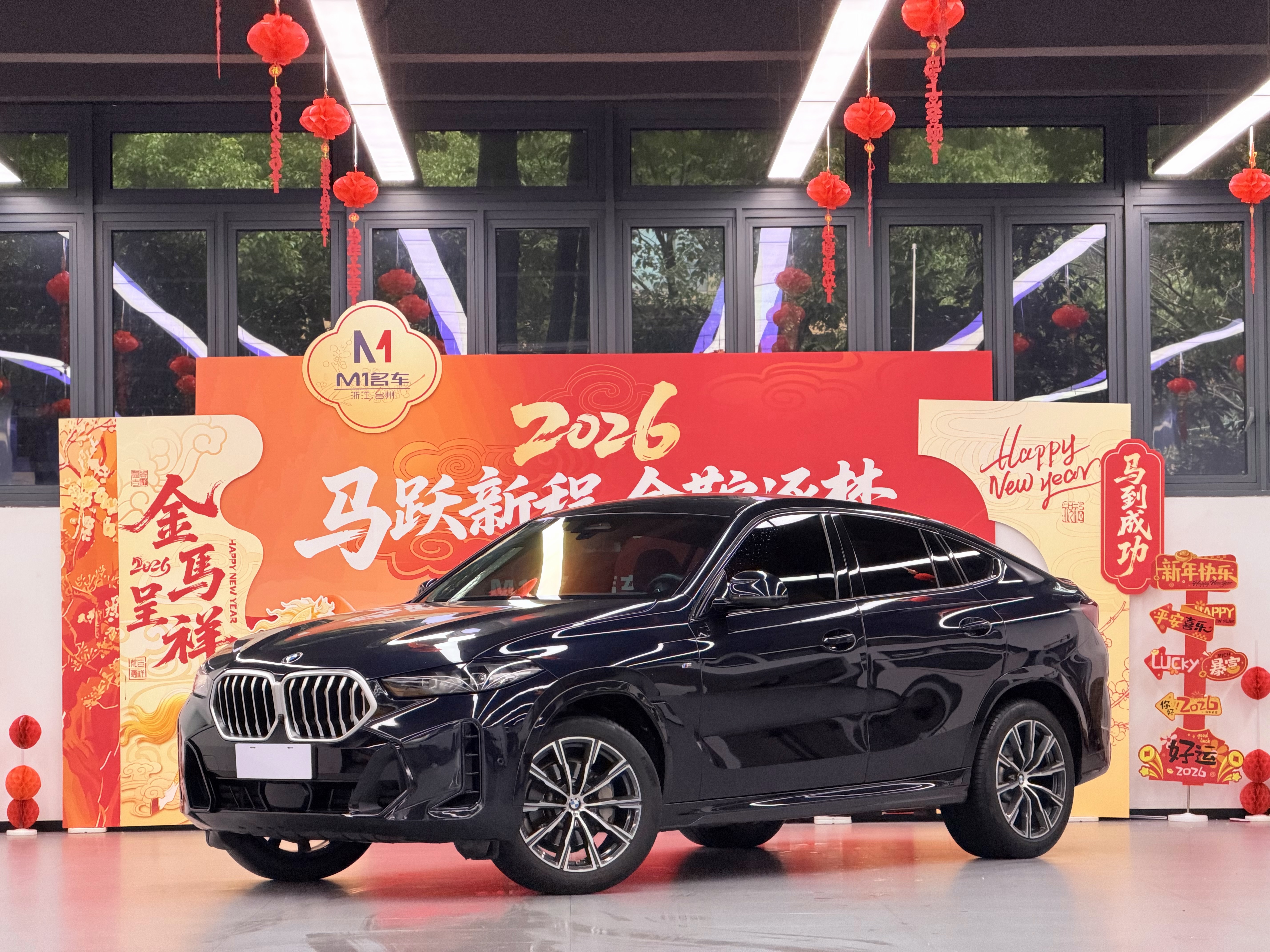 BMW X6 2023 car image #2